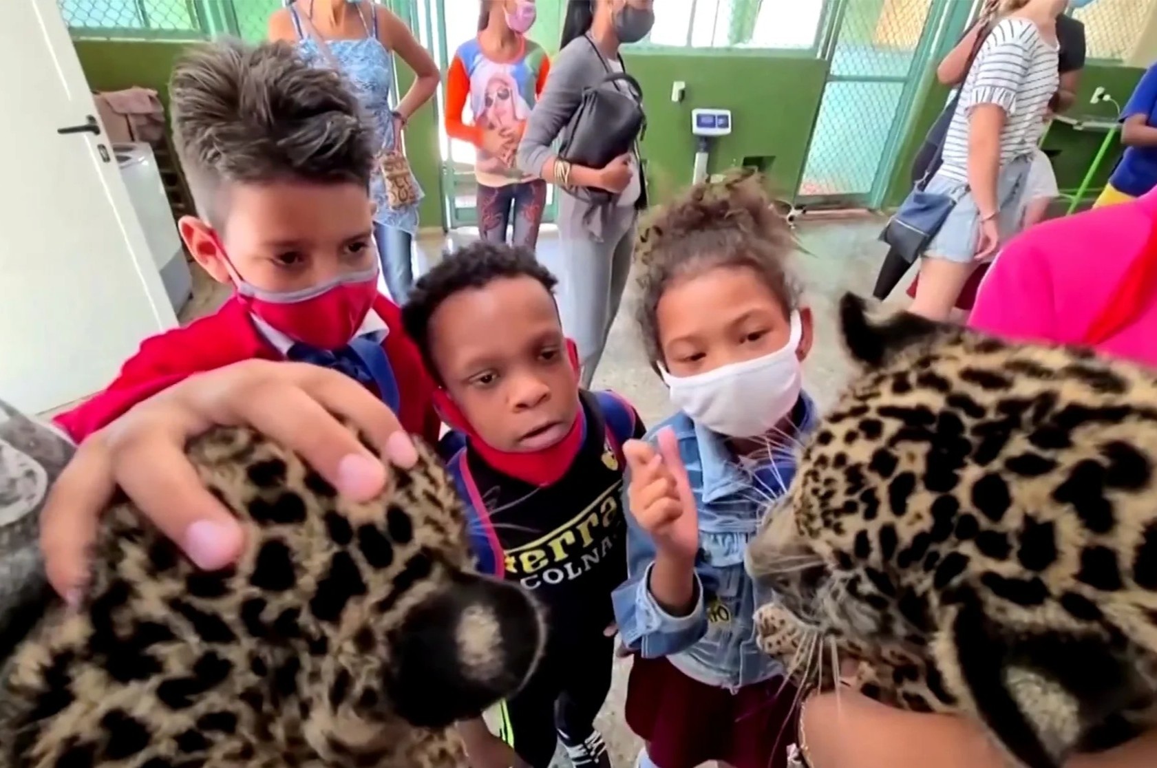 Tre khuyet tat o Cuba choi dua voi bao dom, ran hinh anh