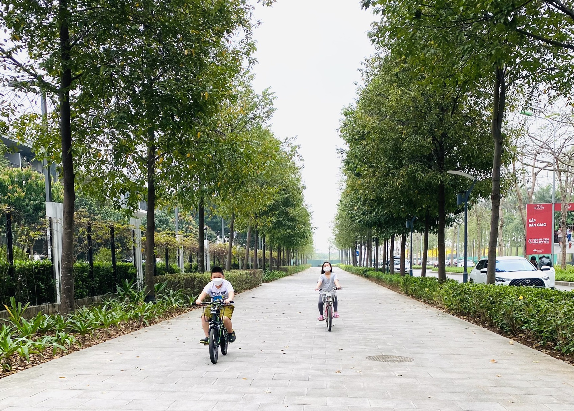 Tre nghi hoc gan mot nam anh 2