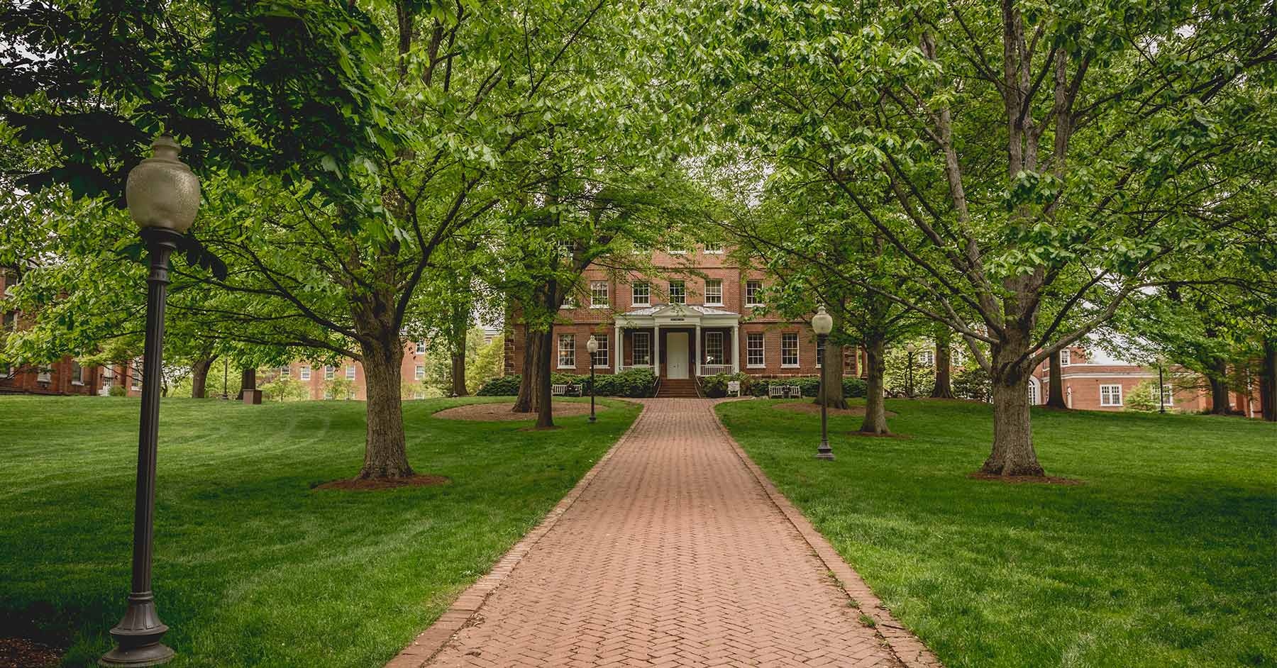 tam bang dat do nhat the gioi anh 5