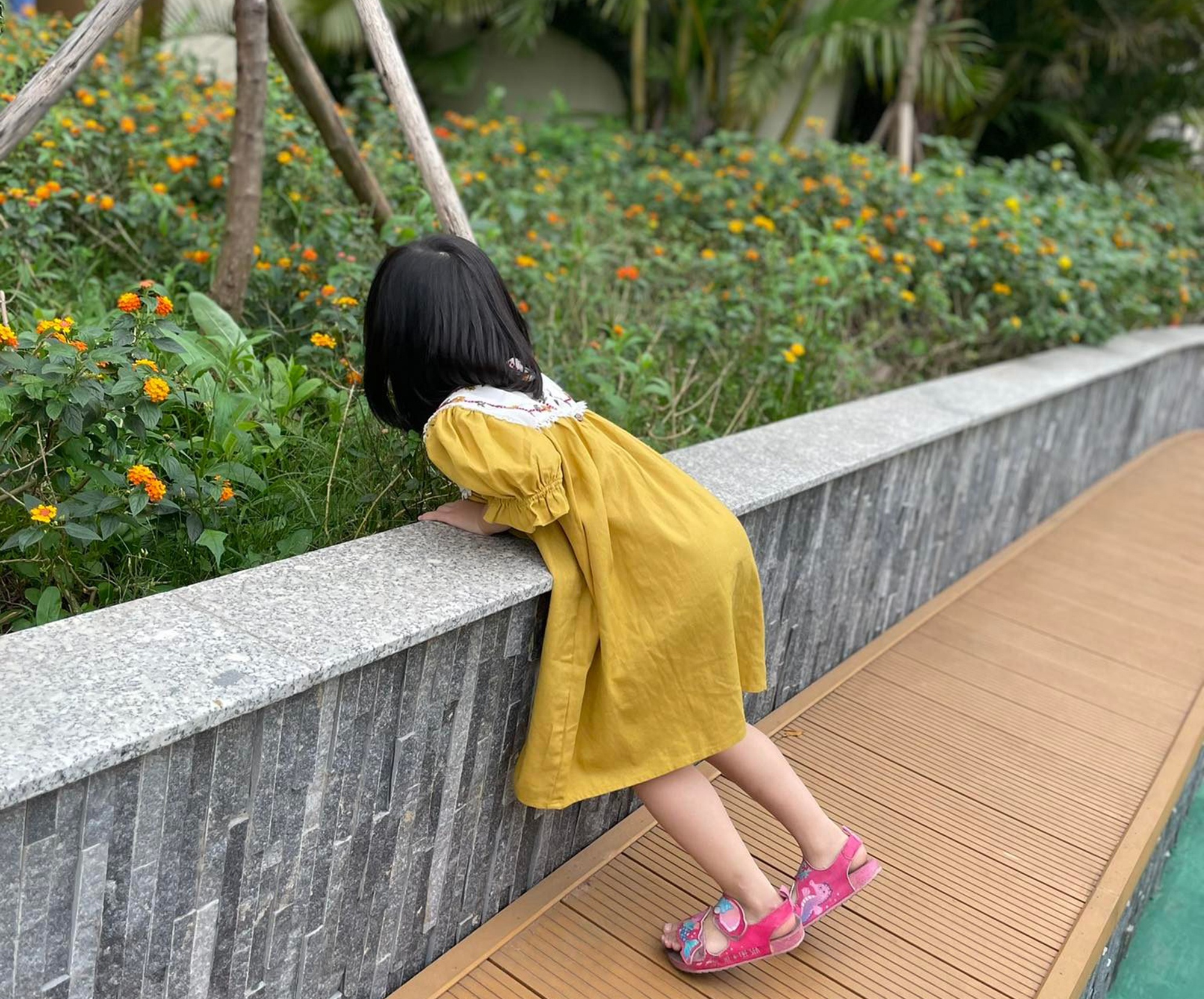 sao van bat tre mam non o nha anh 1