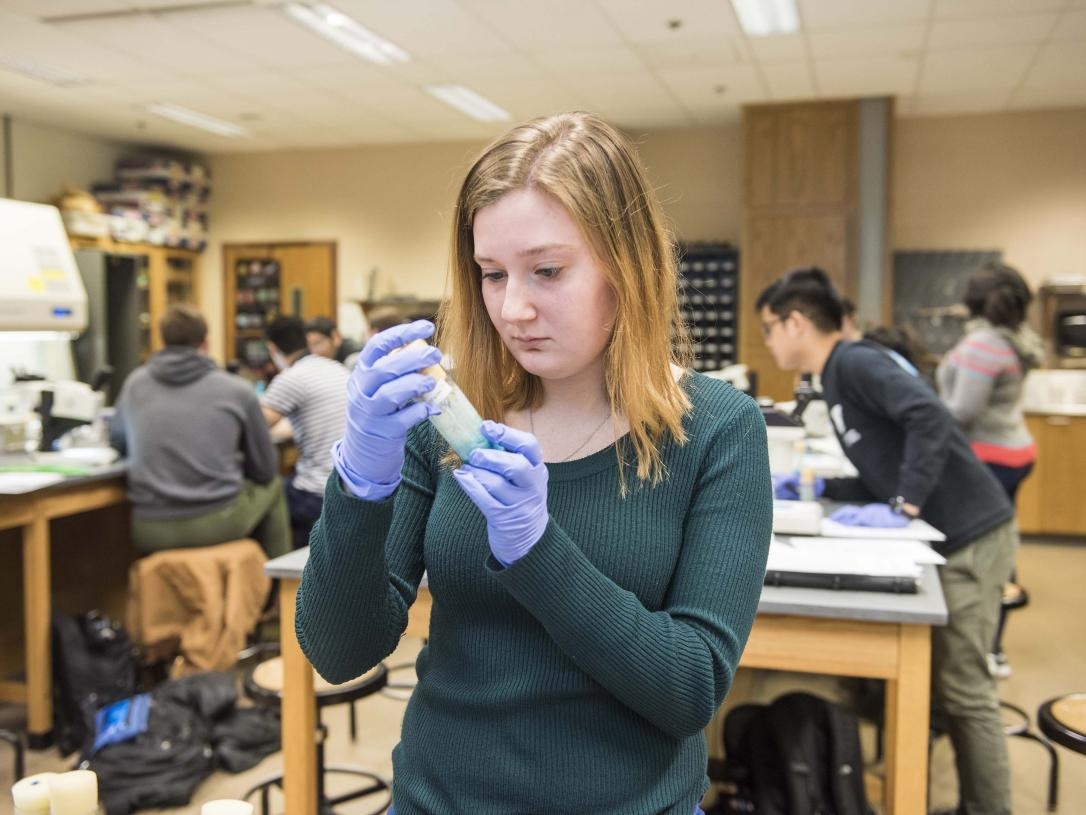 nganh hoc co trien vong tot nhat trong tuong lai anh 1