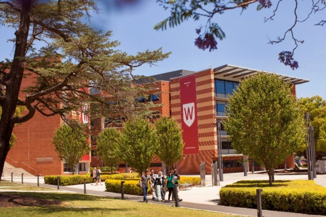 10 dai hoc co dong gop lon nhat the gioi hinh anh