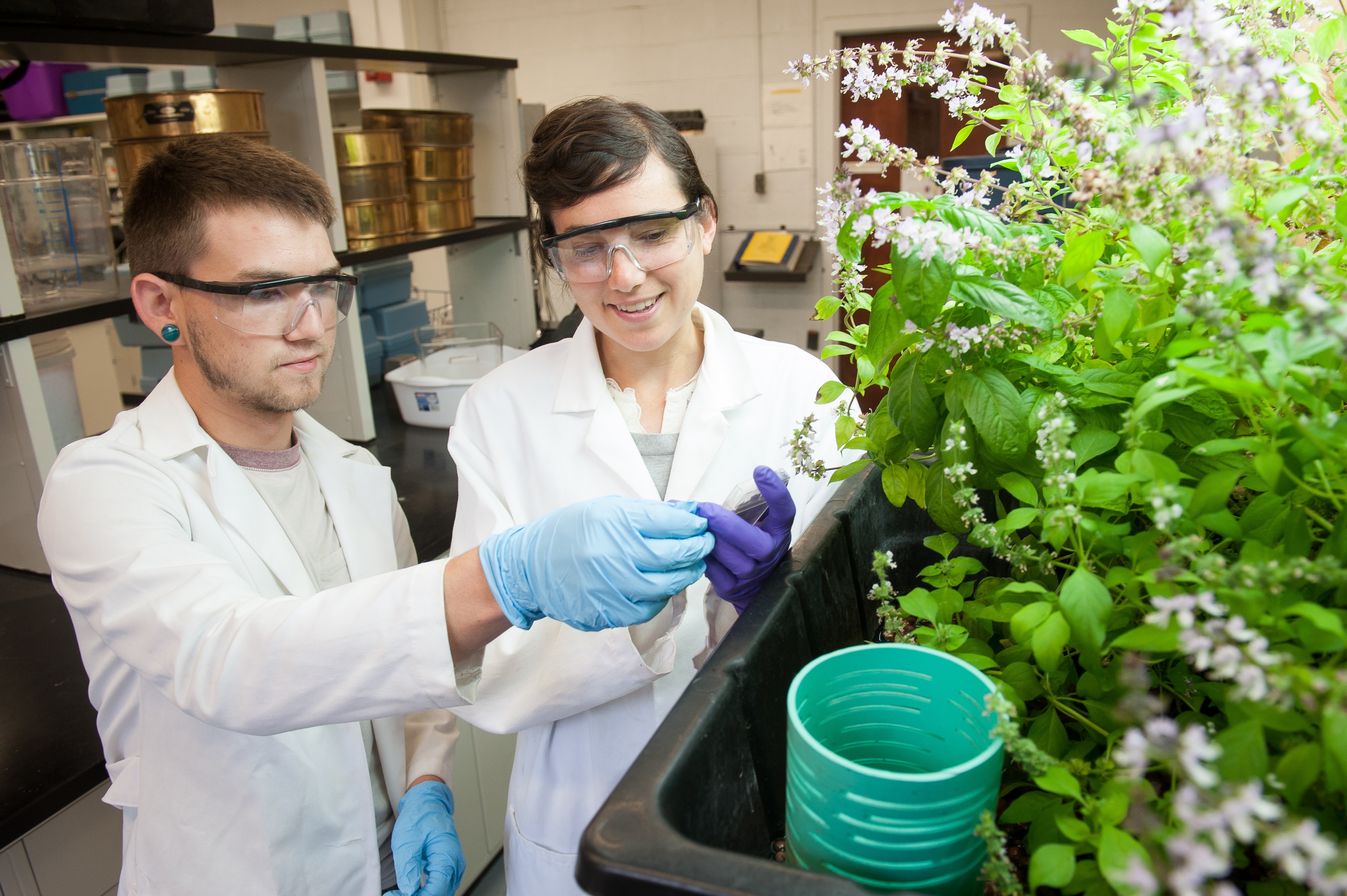 tam bang dai hoc co gia tri nhat anh 10