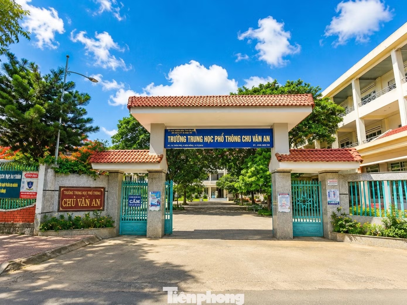 truong anh 1