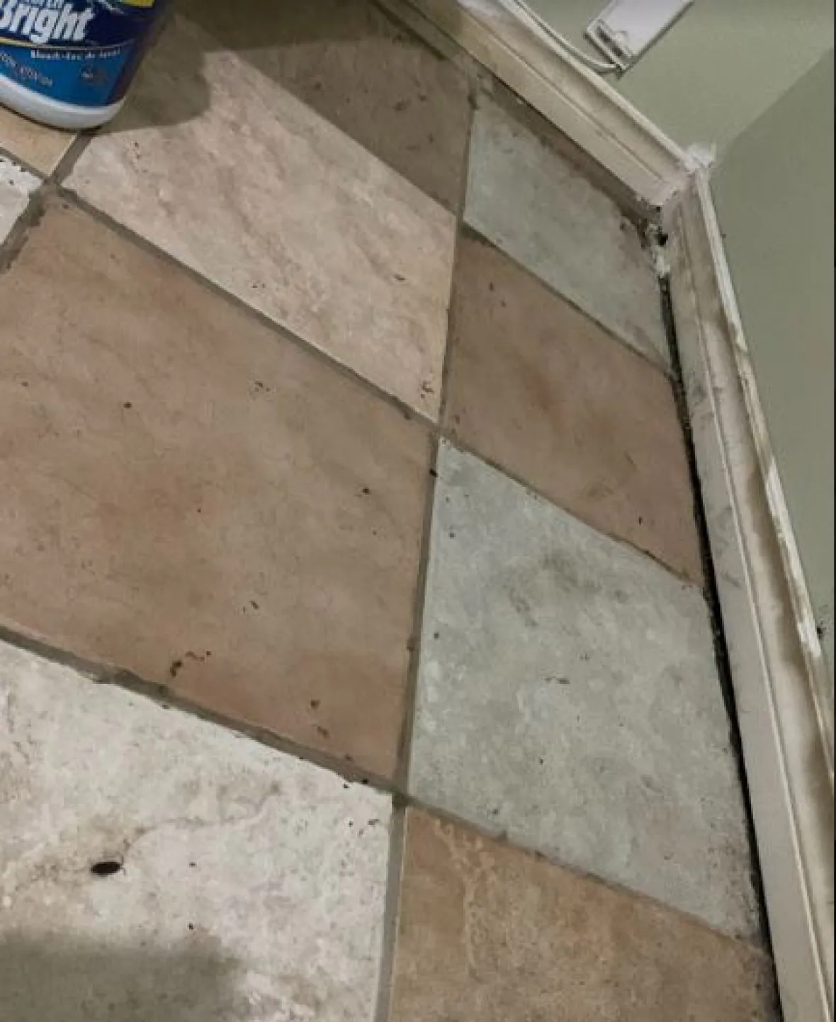 du hoc sinh song nha tro chuot bo qua nguoi anh 2