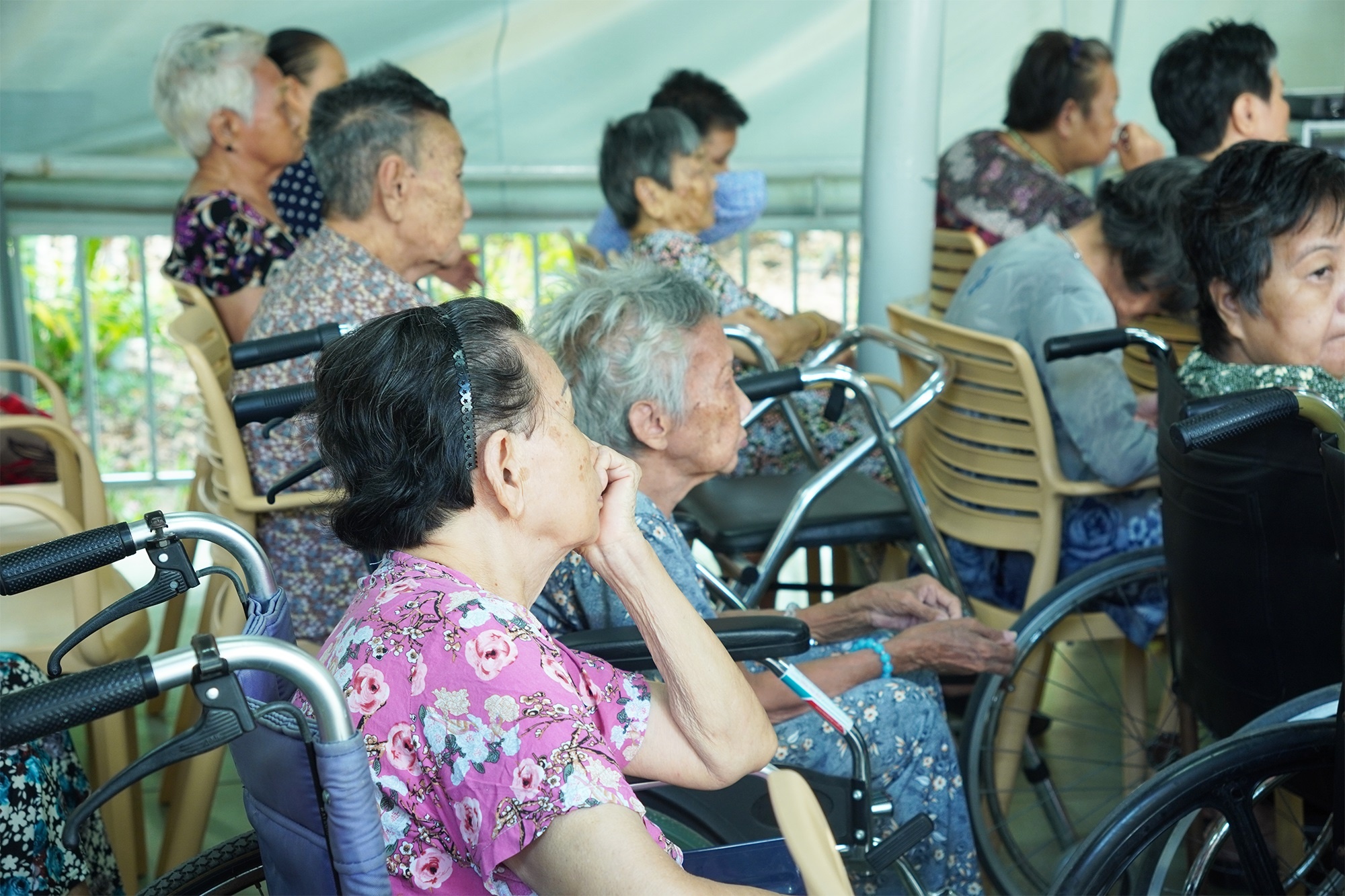 sinh vien nhan van anh 1