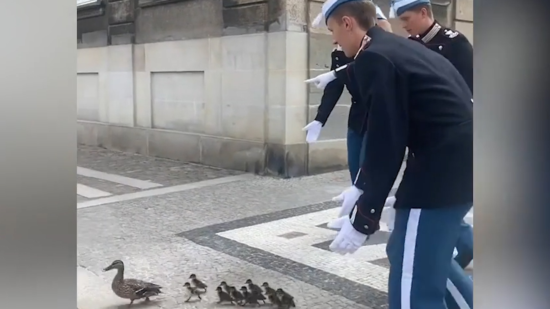 Doi can ve Hoang gia Dan Mach ho tong dan vit hinh anh