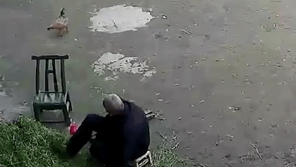 Nguoi dan ong nhay xuong ho, cuu be gai bi duoi nuoc hinh anh