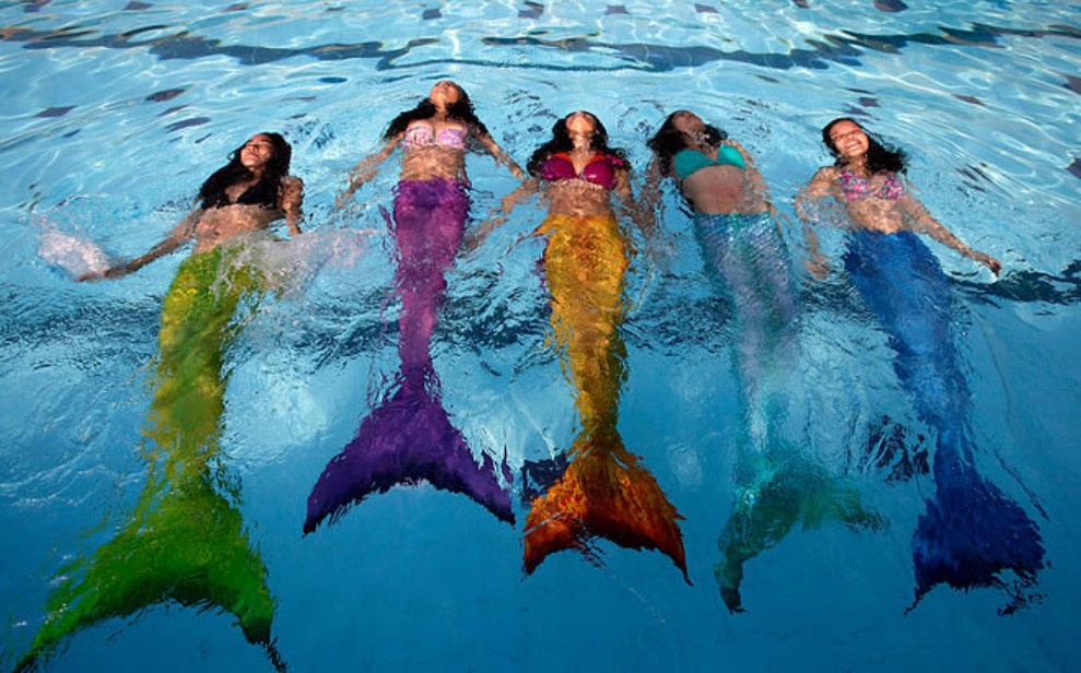 Lop hoc boi nhu nang tien ca hinh anh