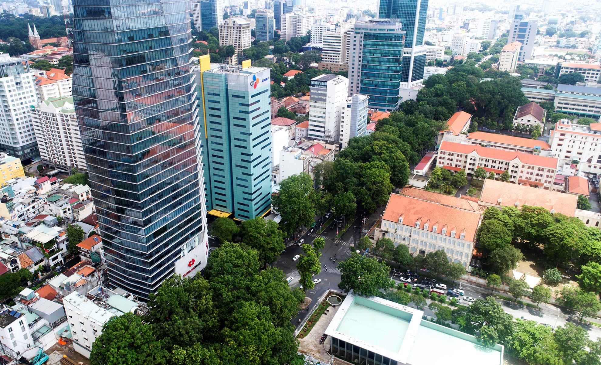 Chat hang cay co thu duong Ton Duc Thang anh 8