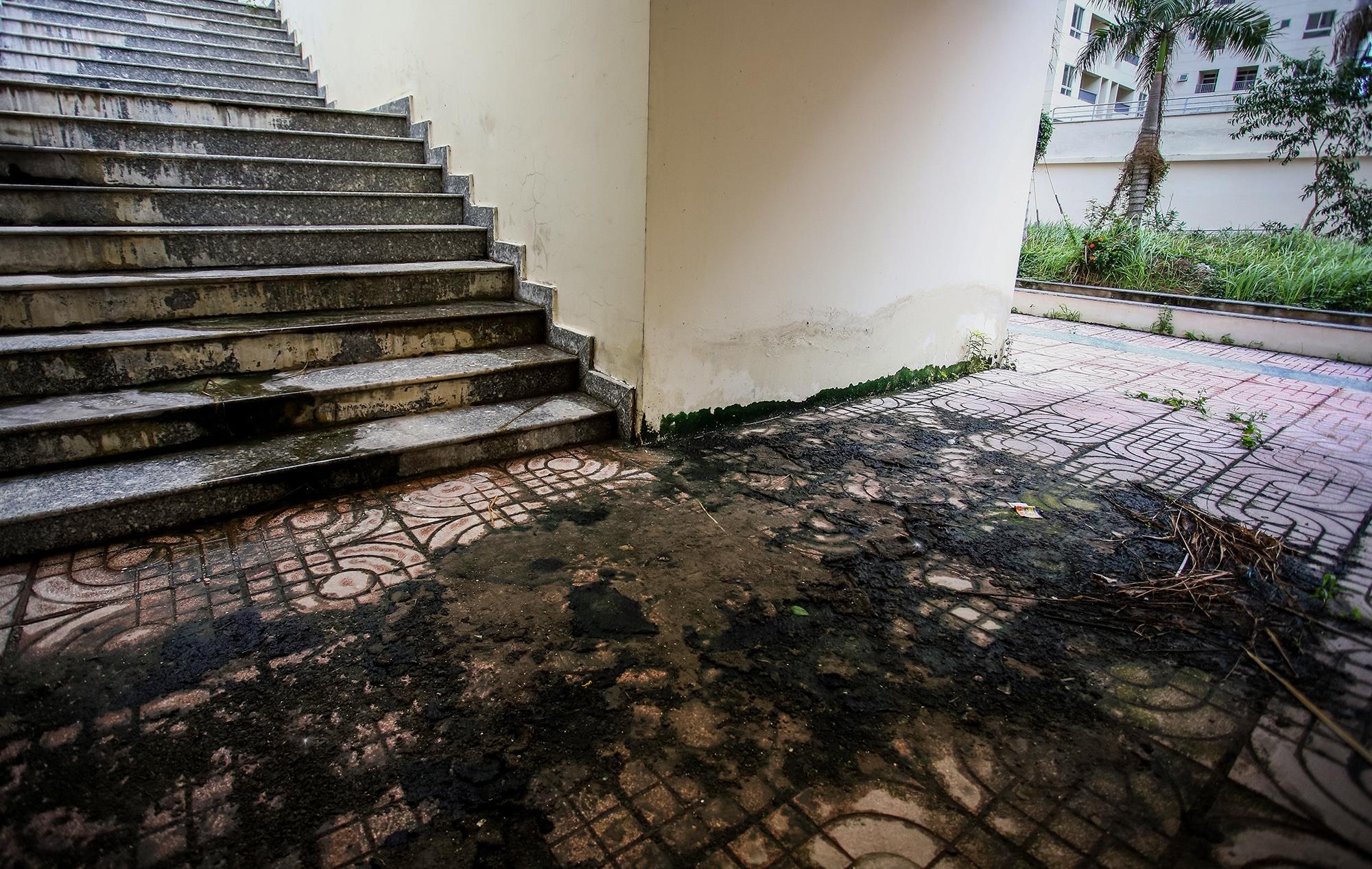 Tai dinh cu,  thu thiem,  hoang vang,  new city anh 10