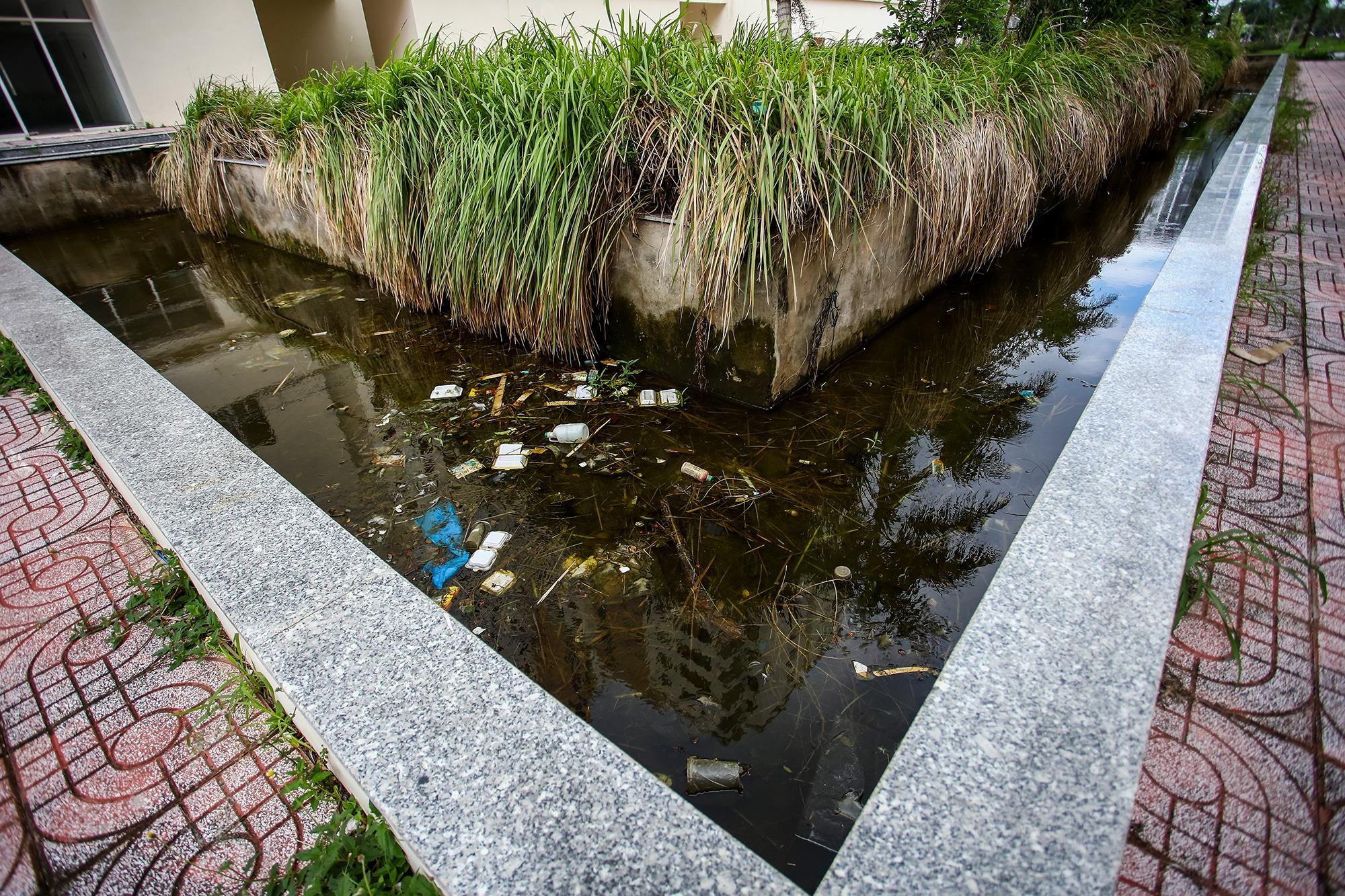 Tai dinh cu,  thu thiem,  hoang vang,  new city anh 9