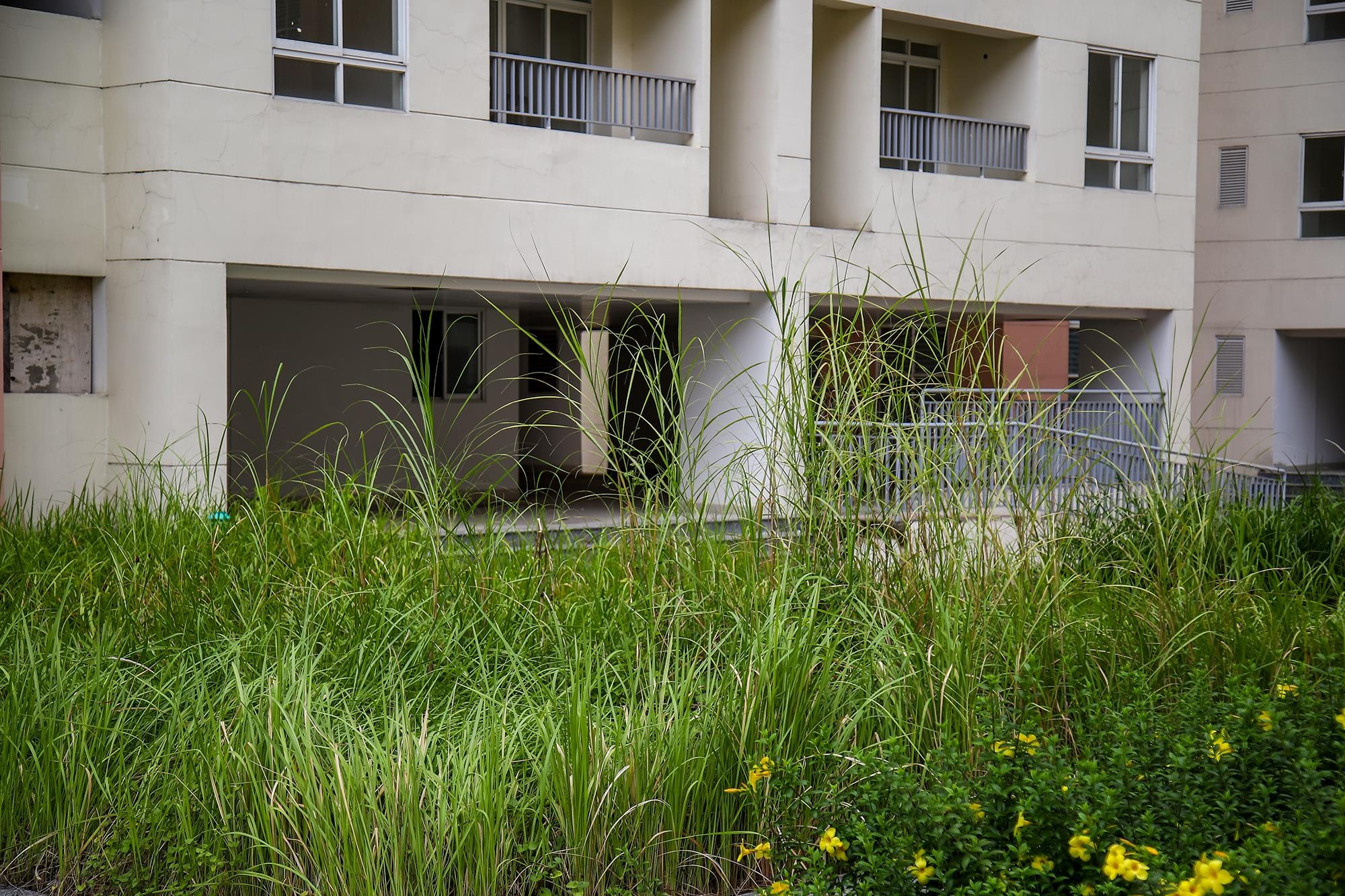 Tai dinh cu,  thu thiem,  hoang vang,  new city anh 6