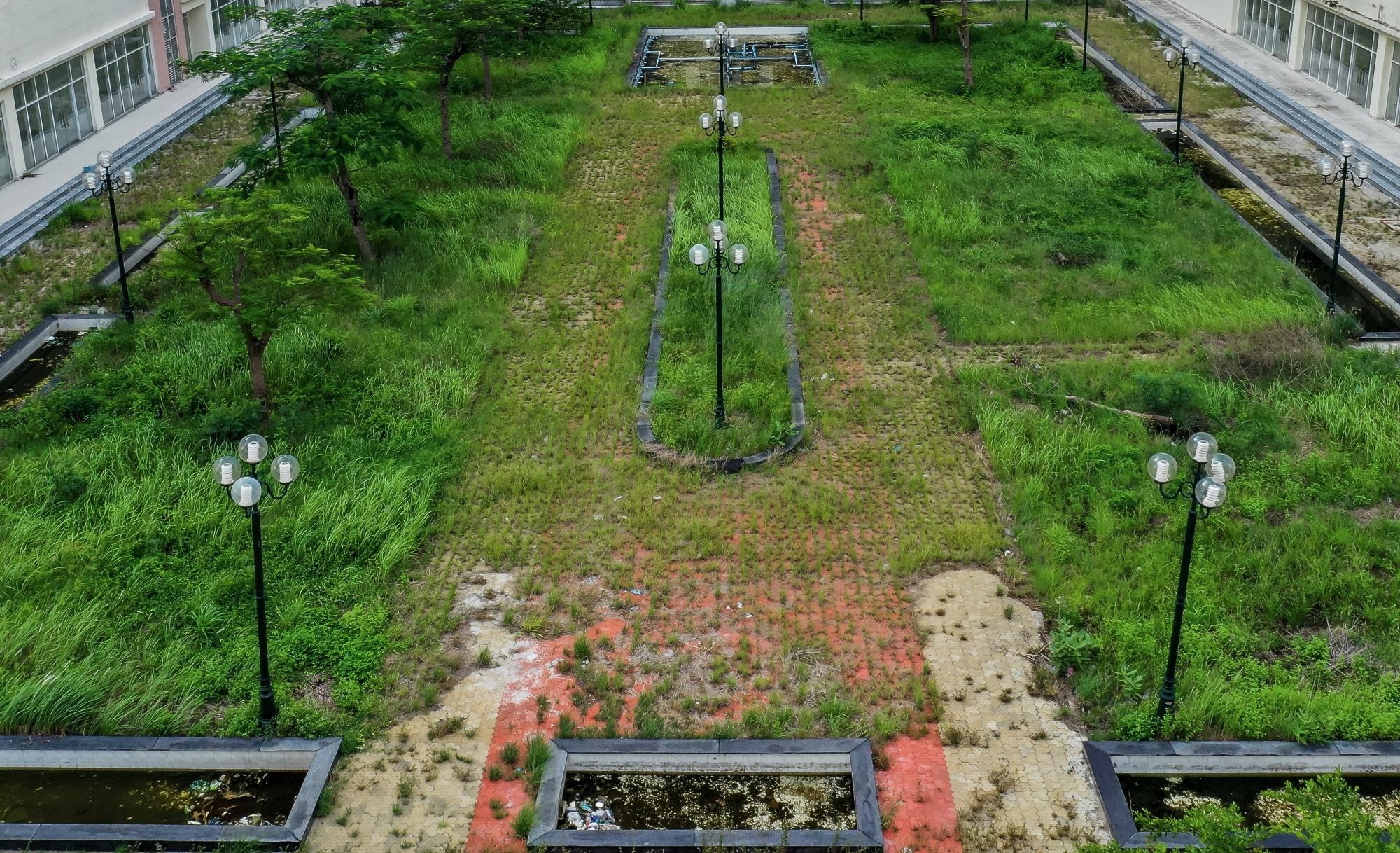 Tai dinh cu,  thu thiem,  hoang vang,  new city anh 8