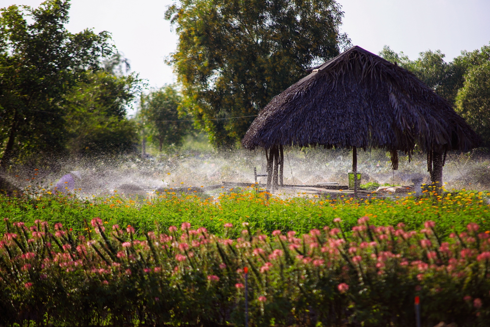 Khu Tam Da voi dinh huong la mot phan do thi phia dong TP.HCM anh 12