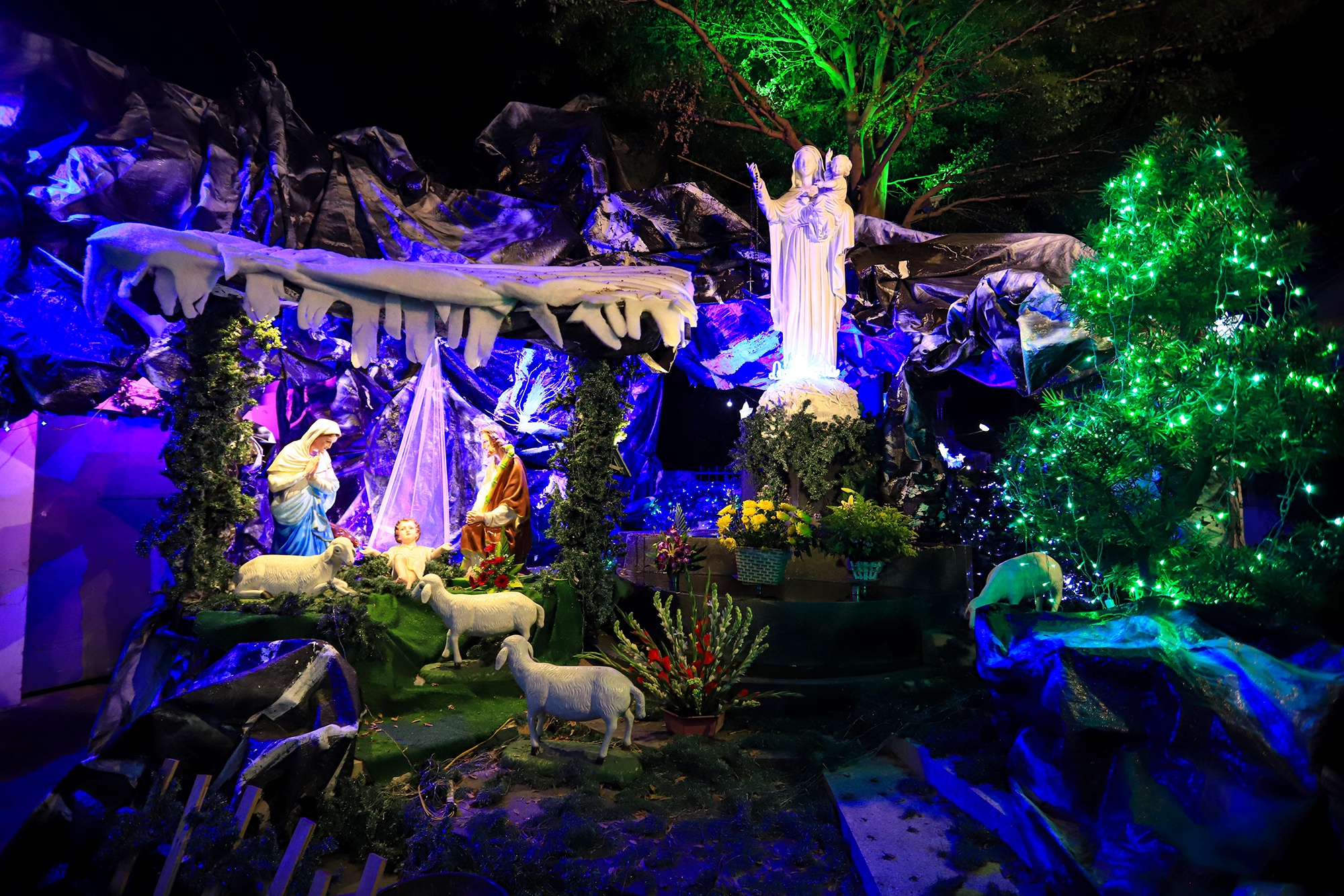 Xom dao Go Vap lung linh trong mua Giang Sinh anh 7