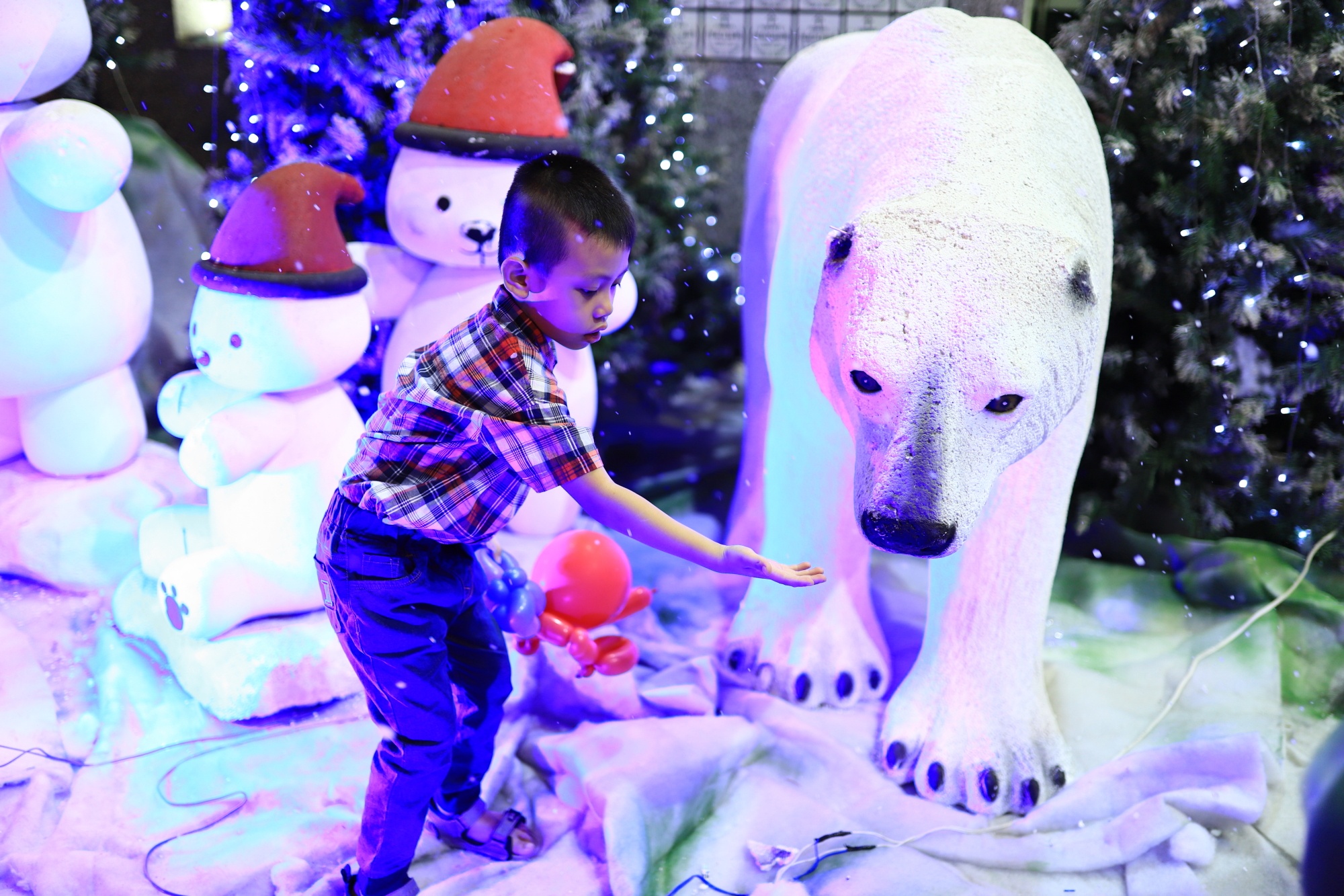 Xom dao Go Vap lung linh trong mua Giang Sinh anh 9