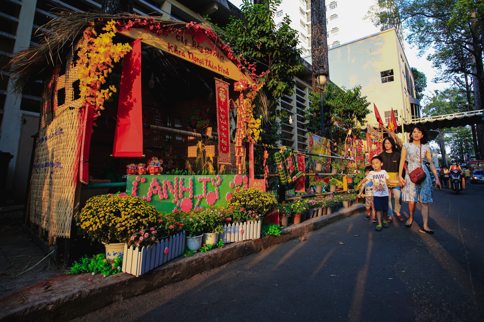 Duong hoa Tet trong benh vien Cho Ray anh 3