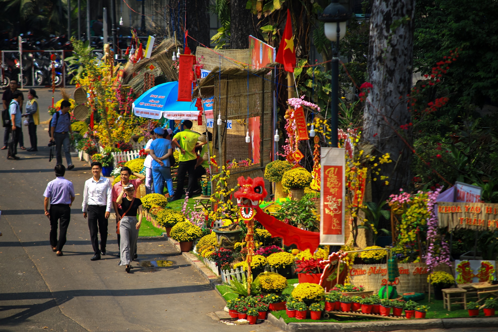 Duong hoa Tet trong benh vien Cho Ray anh 2