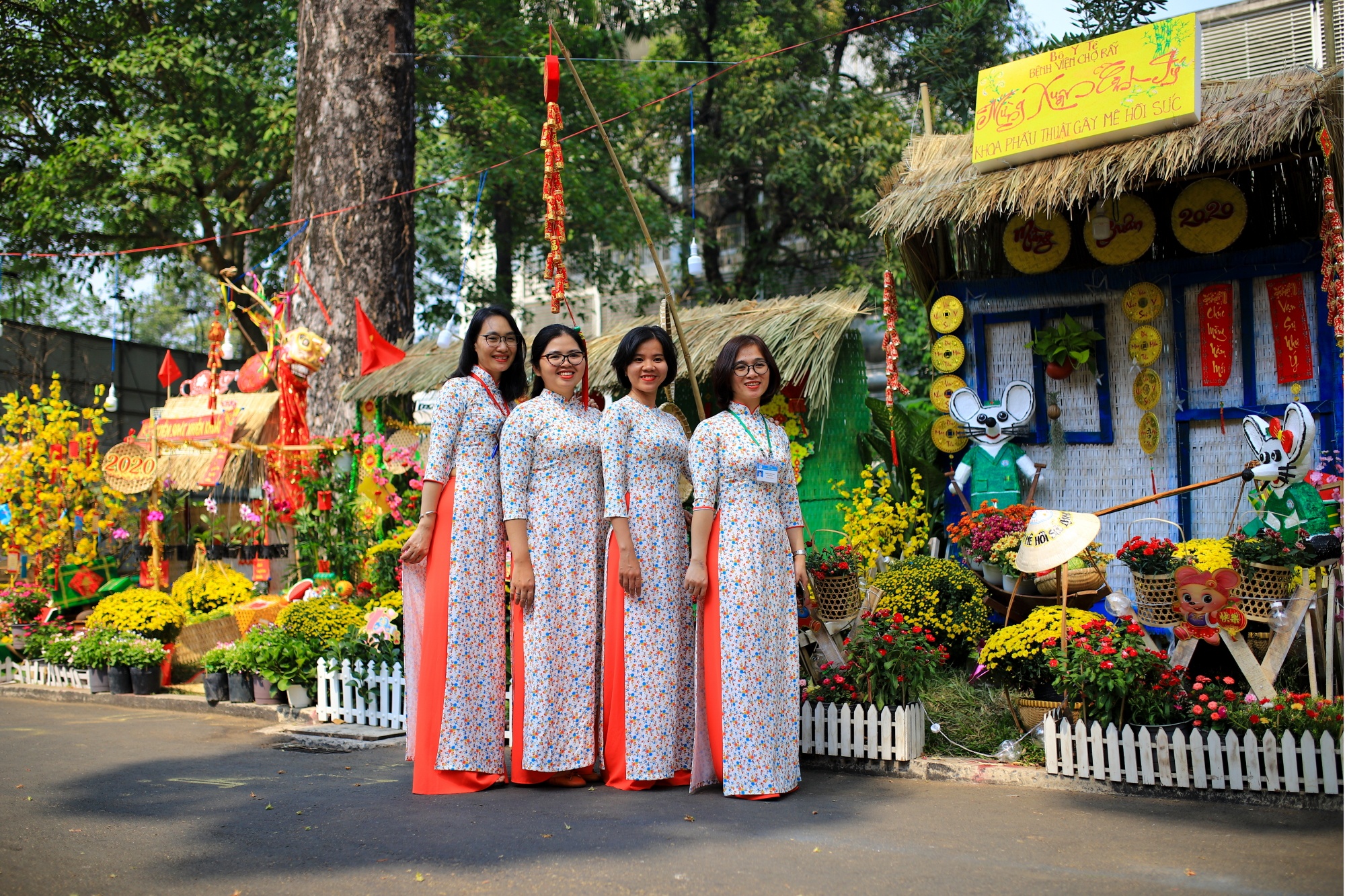 Duong hoa Tet trong benh vien Cho Ray anh 9