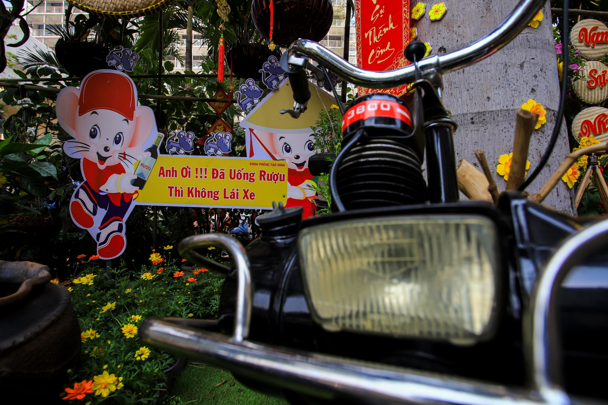 Duong hoa Tet trong benh vien Cho Ray anh 6