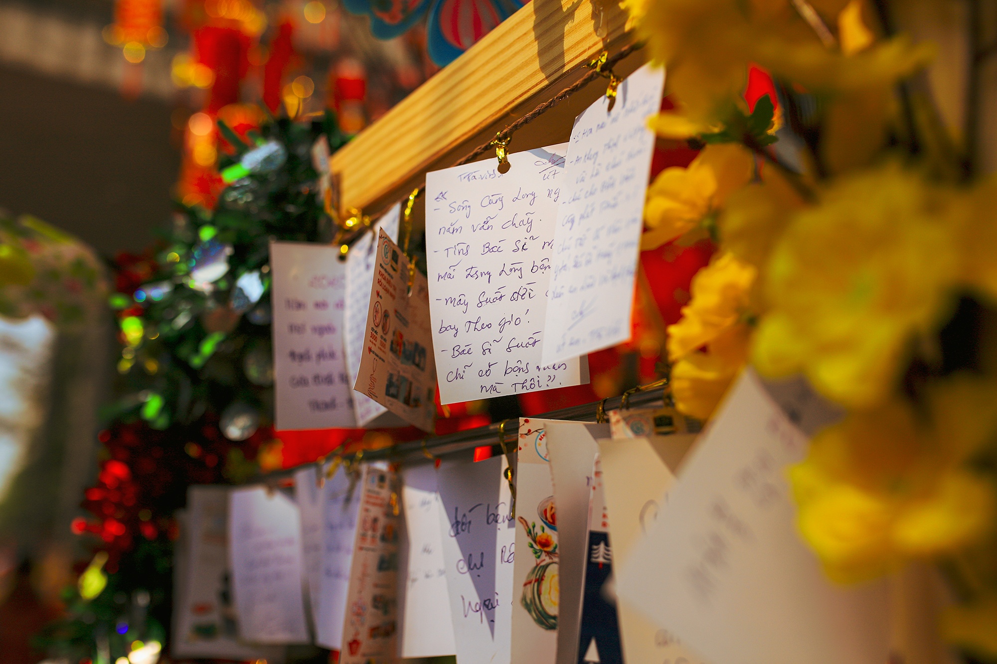 Duong hoa Tet trong benh vien Cho Ray anh 7