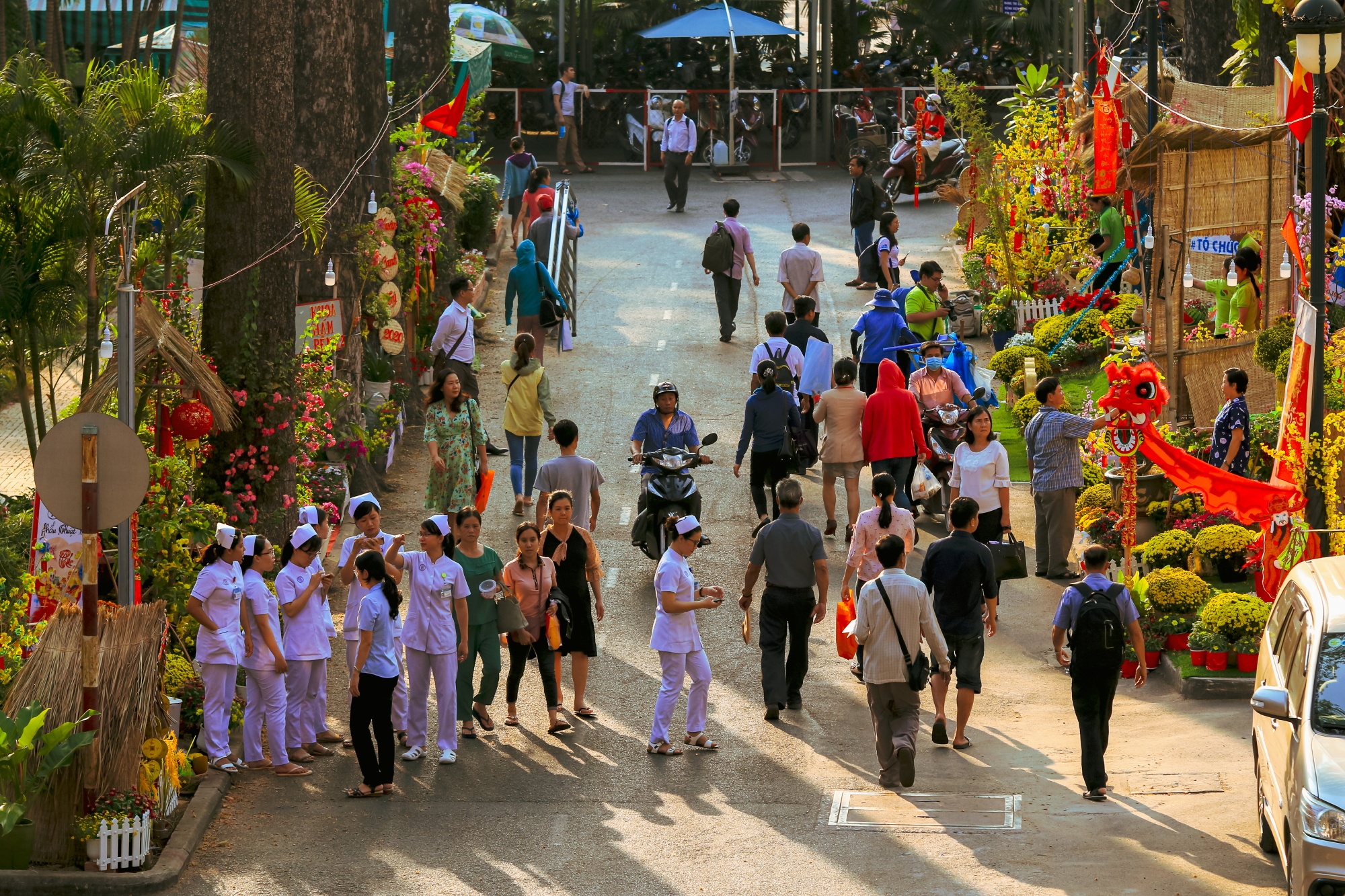 Duong hoa Tet trong benh vien Cho Ray anh 1