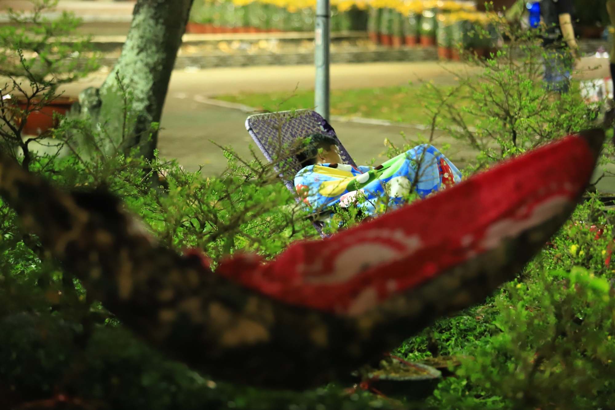 Tieu thuong va vat thuc thau dem canh hoa Tet o Sai Gon anh 12