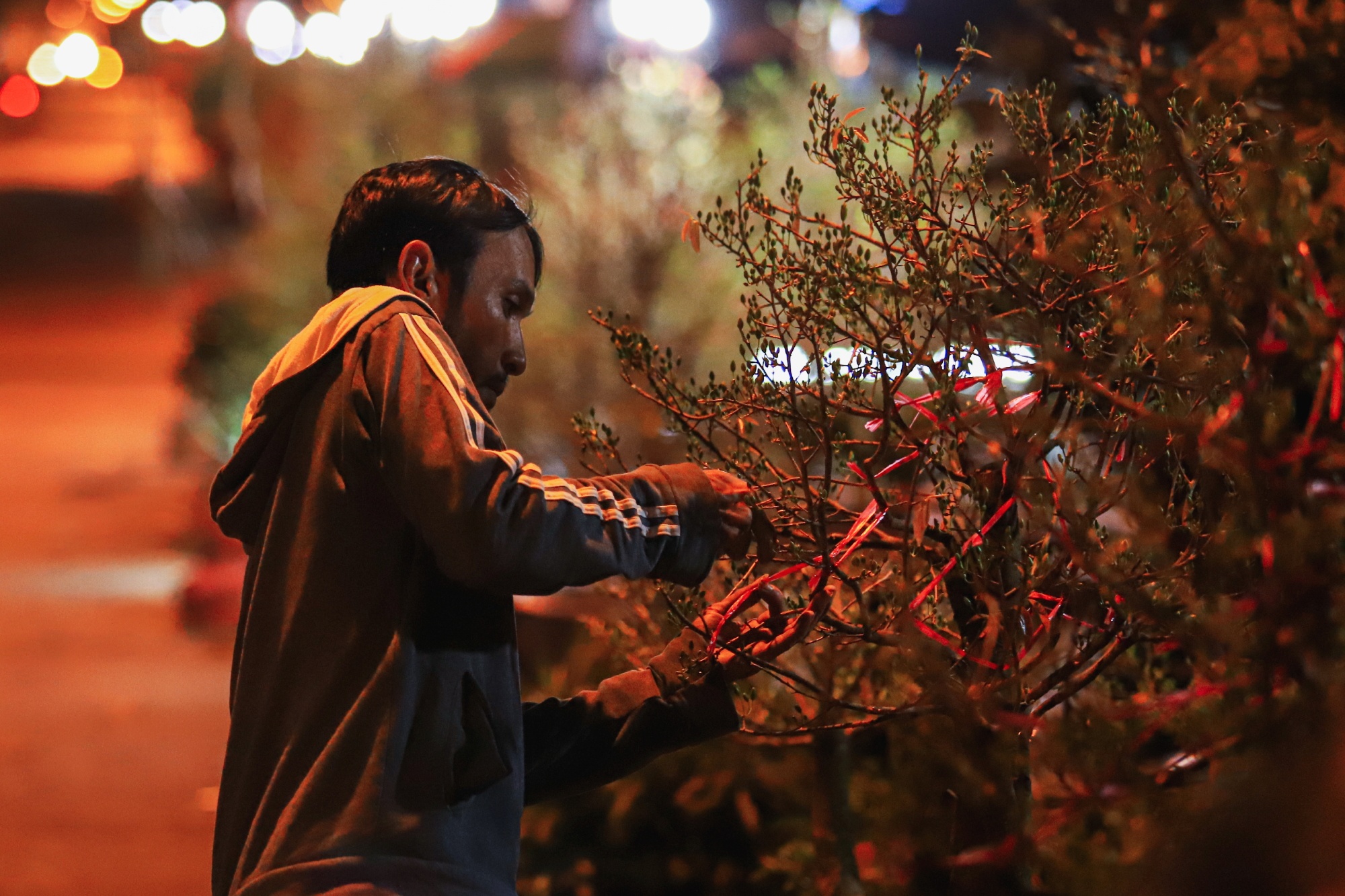 Tieu thuong va vat thuc thau dem canh hoa Tet o Sai Gon anh 3