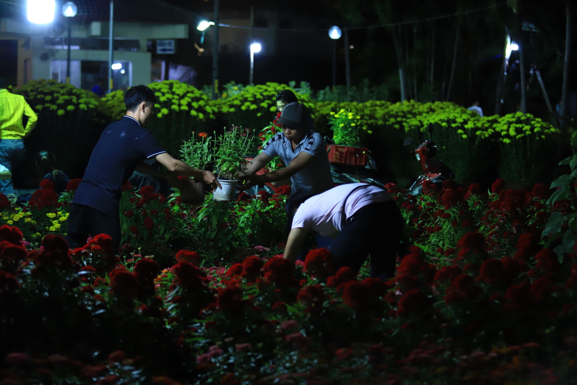 Tieu thuong va vat thuc thau dem canh hoa Tet o Sai Gon anh 7