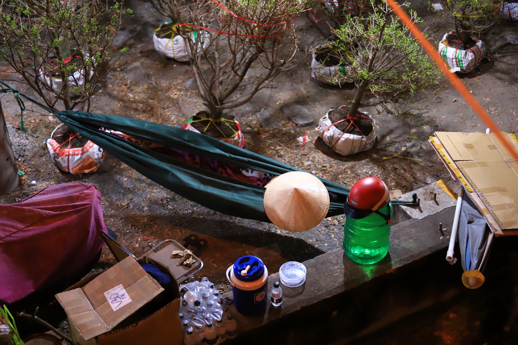 Tieu thuong va vat thuc thau dem canh hoa Tet o Sai Gon anh 5