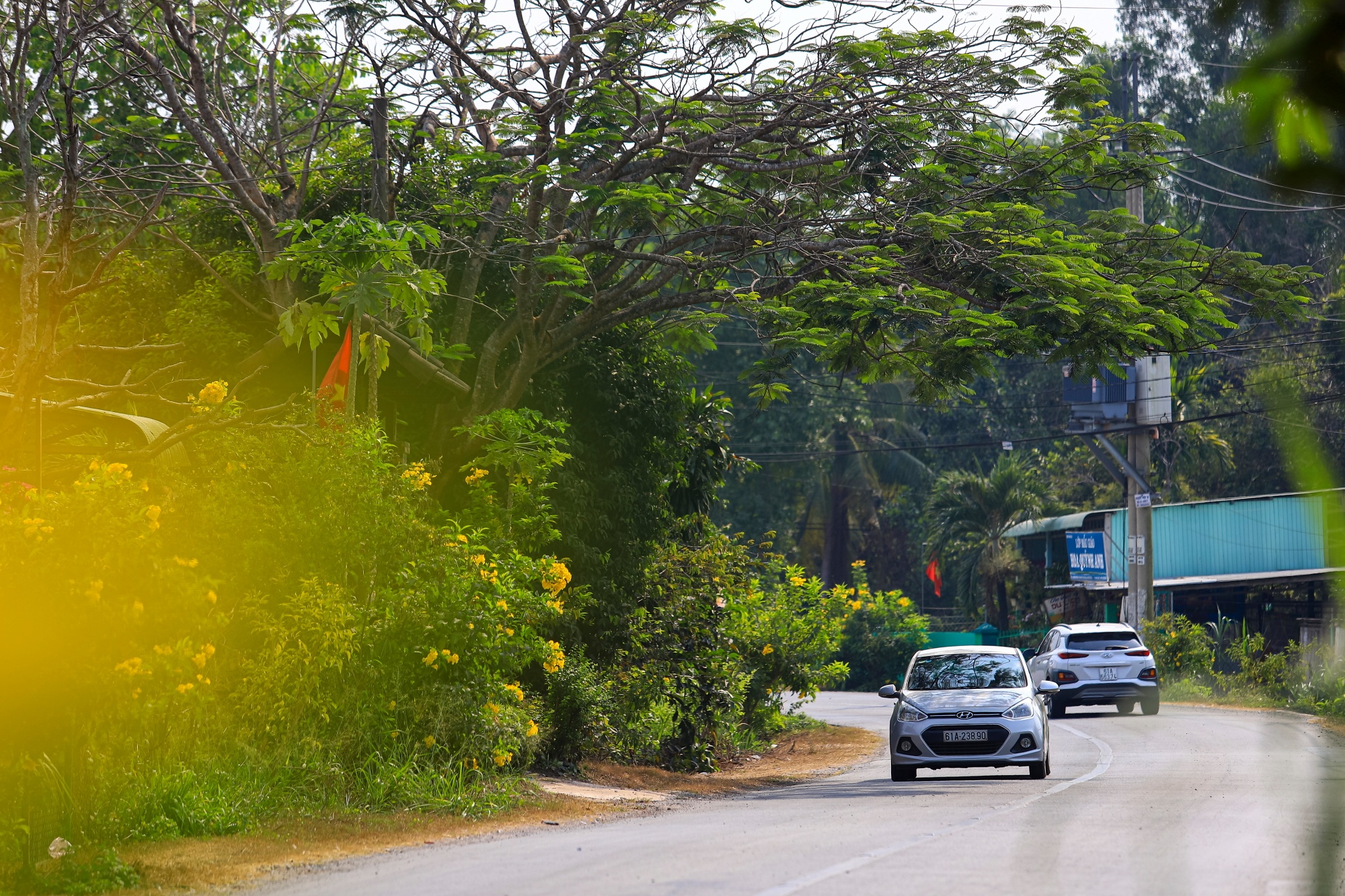 benh vien da chien virus corona anh 5