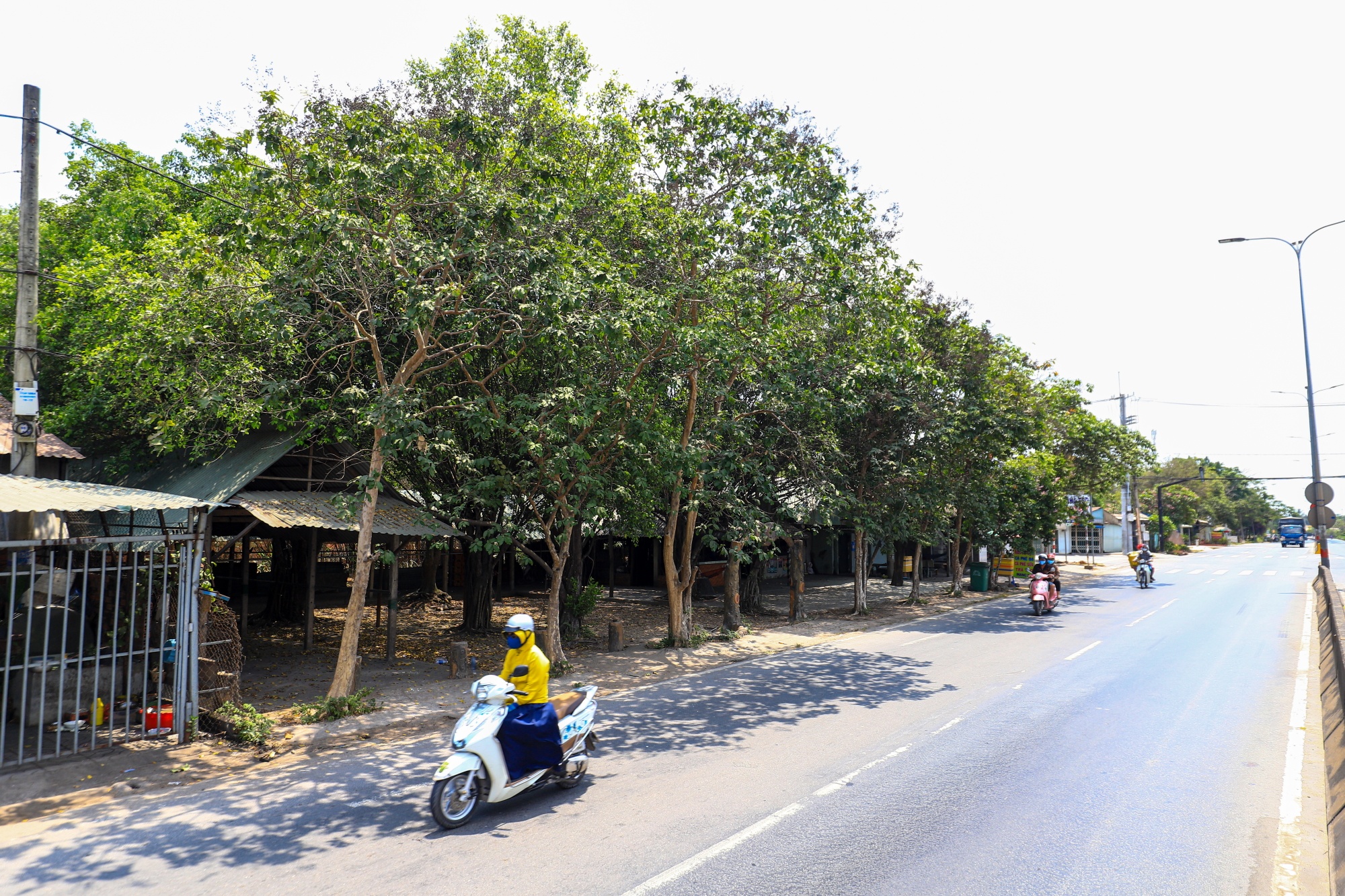 Cam xe khach chong dich covid19 anh 7