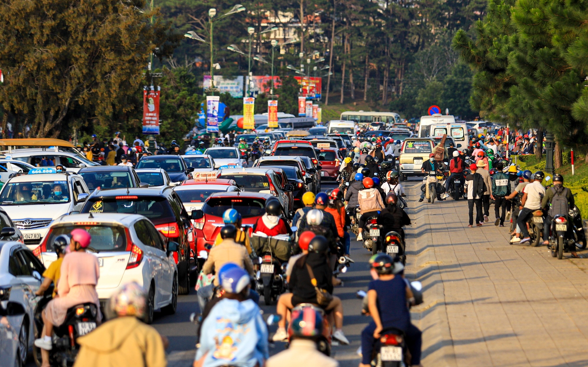 Ket xe tai trung tam thanh pho Da Lat anh 4