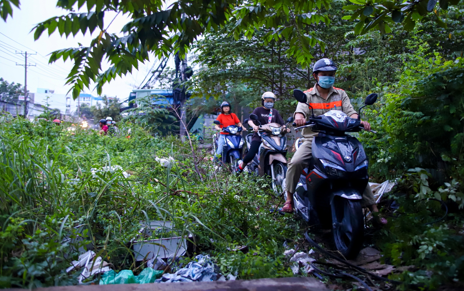 Tieu cuong o TP.HCM anh 6