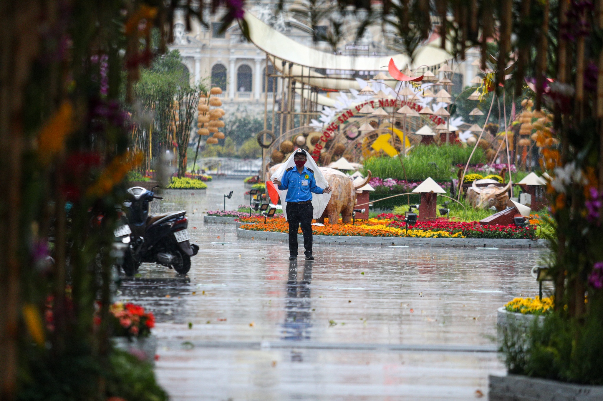 mua trai mua tphcm anh 9