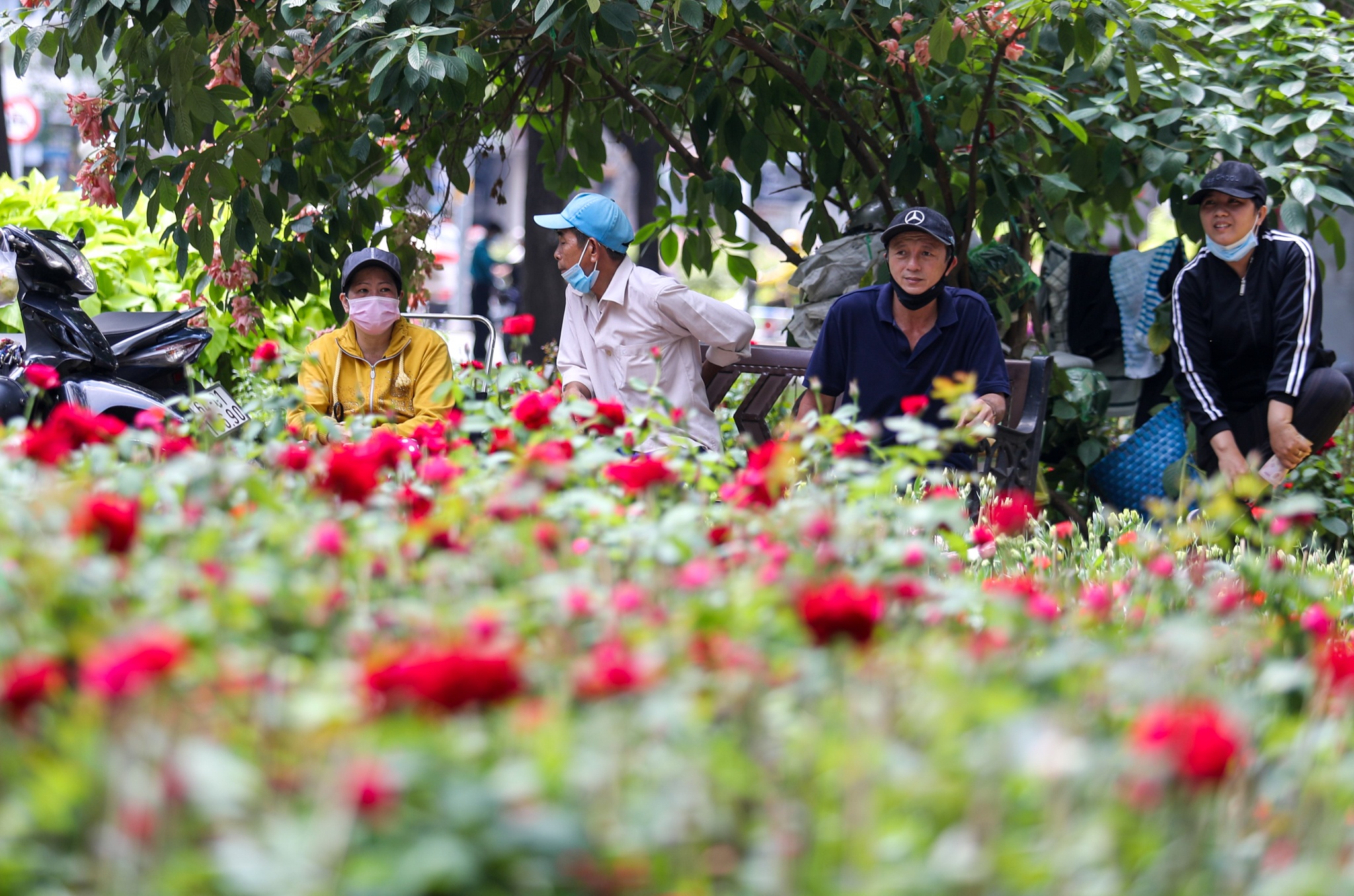 ban hoa e am ngay tet o TP.HCM anh 2