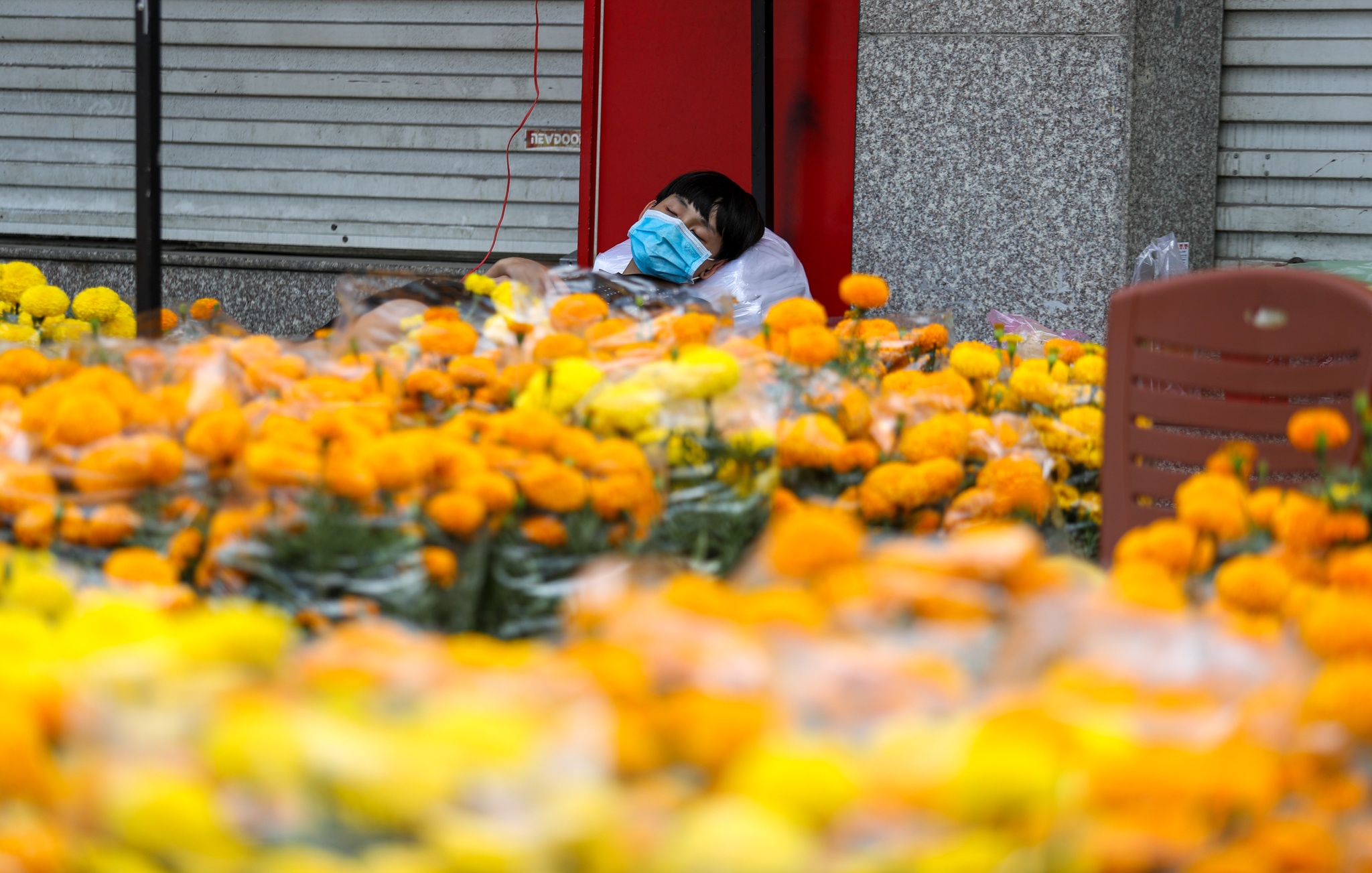 ban hoa e am ngay tet o TP.HCM anh 11