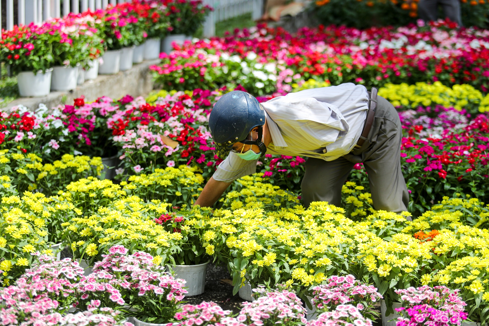 ban hoa e am ngay tet o TP.HCM anh 8