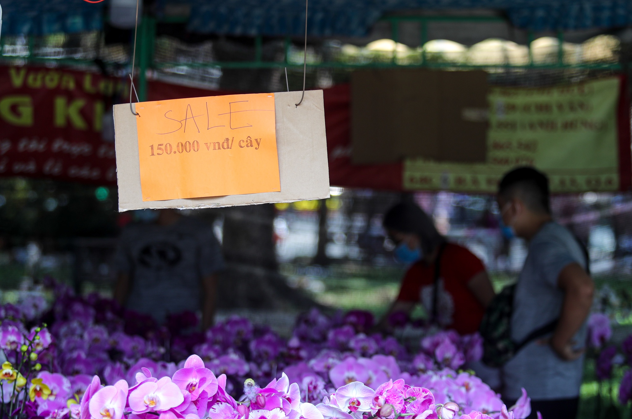 ban hoa e am ngay tet o TP.HCM anh 5