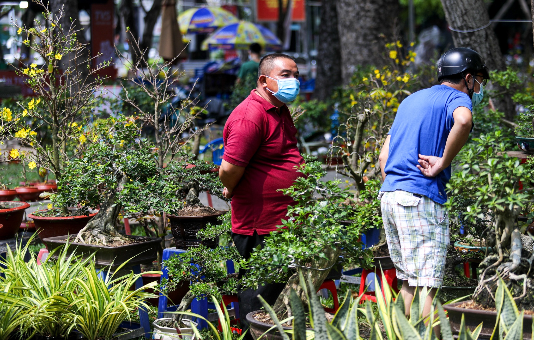 ban hoa e am ngay tet o TP.HCM anh 3