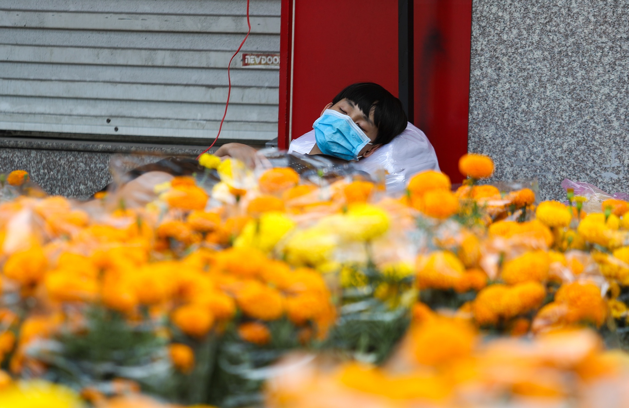 Hoa e am ngay 29 Tet o TP.HCM hinh anh