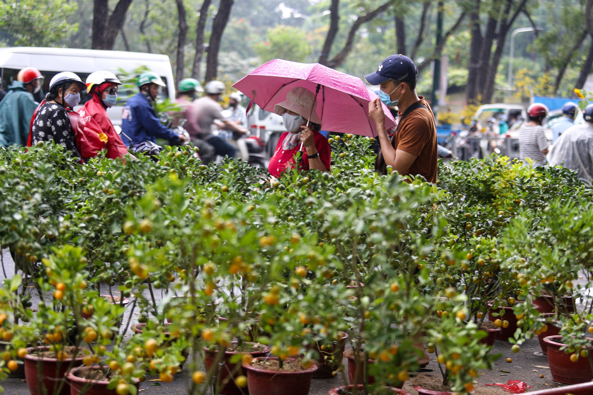 Nguoi dan chen chuc mua hoa 30 Tet anh 7