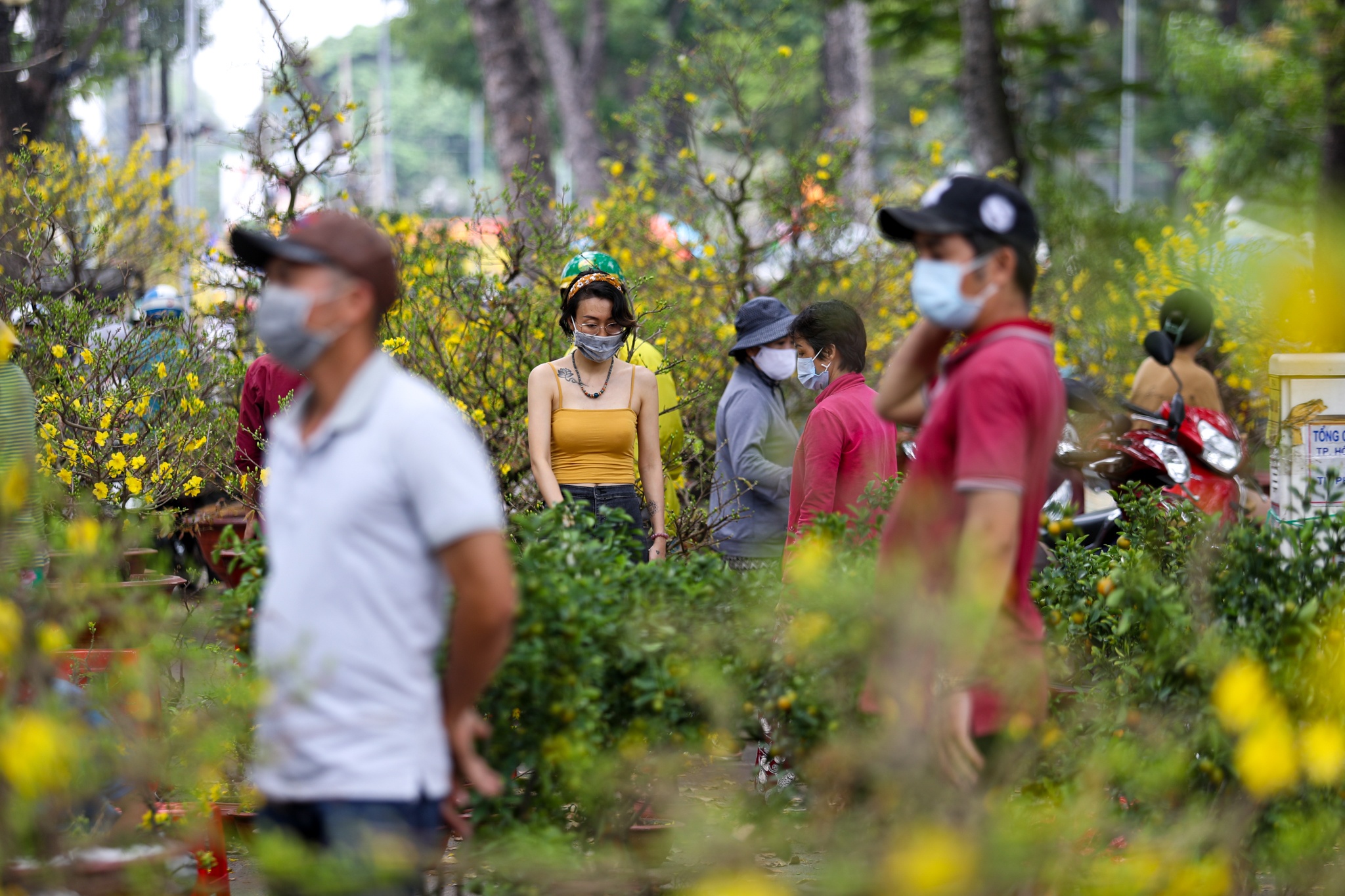 Nguoi dan chen chuc mua hoa 30 Tet anh 11