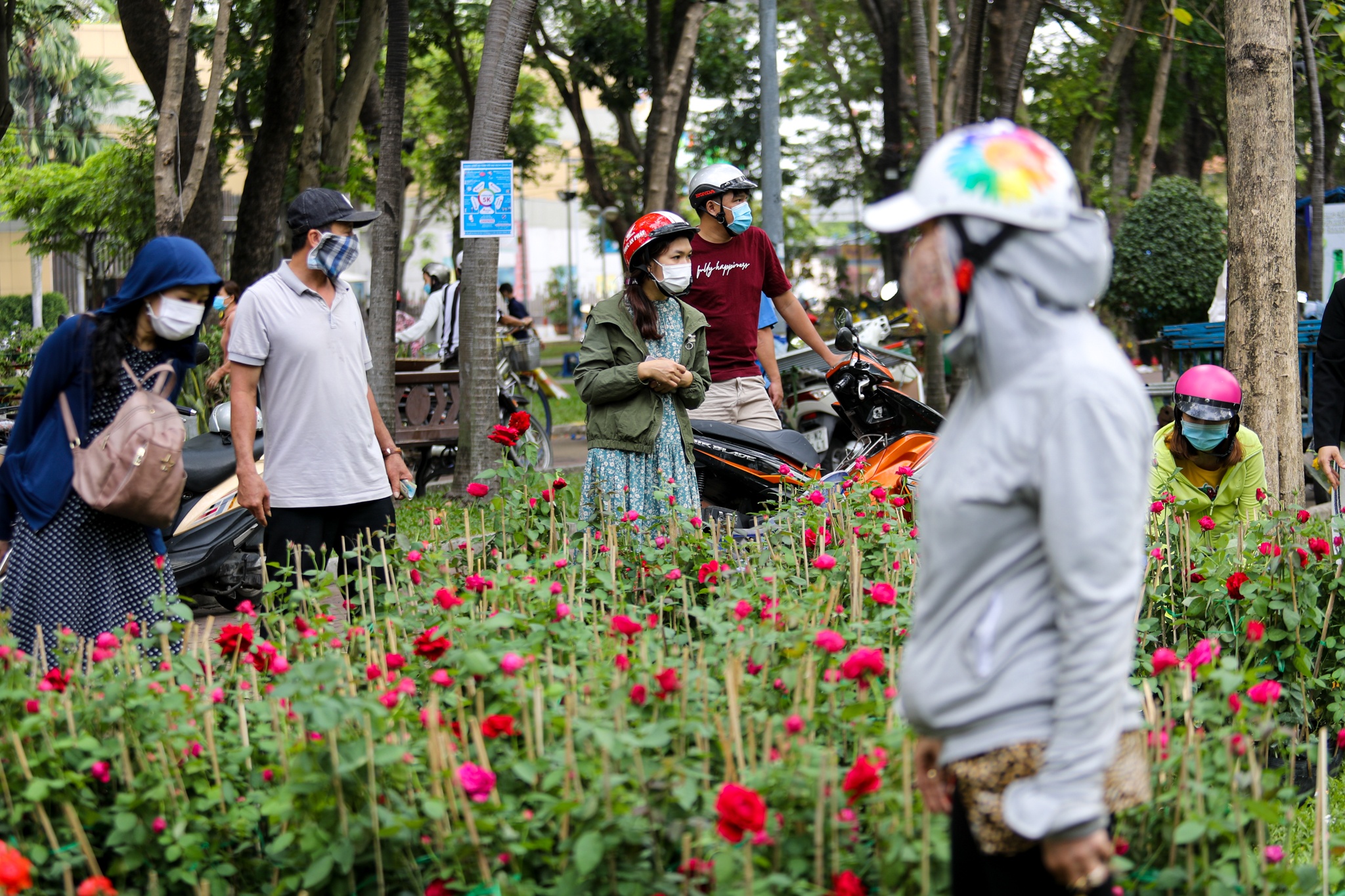 Nguoi dan chen chuc mua hoa 30 Tet anh 2