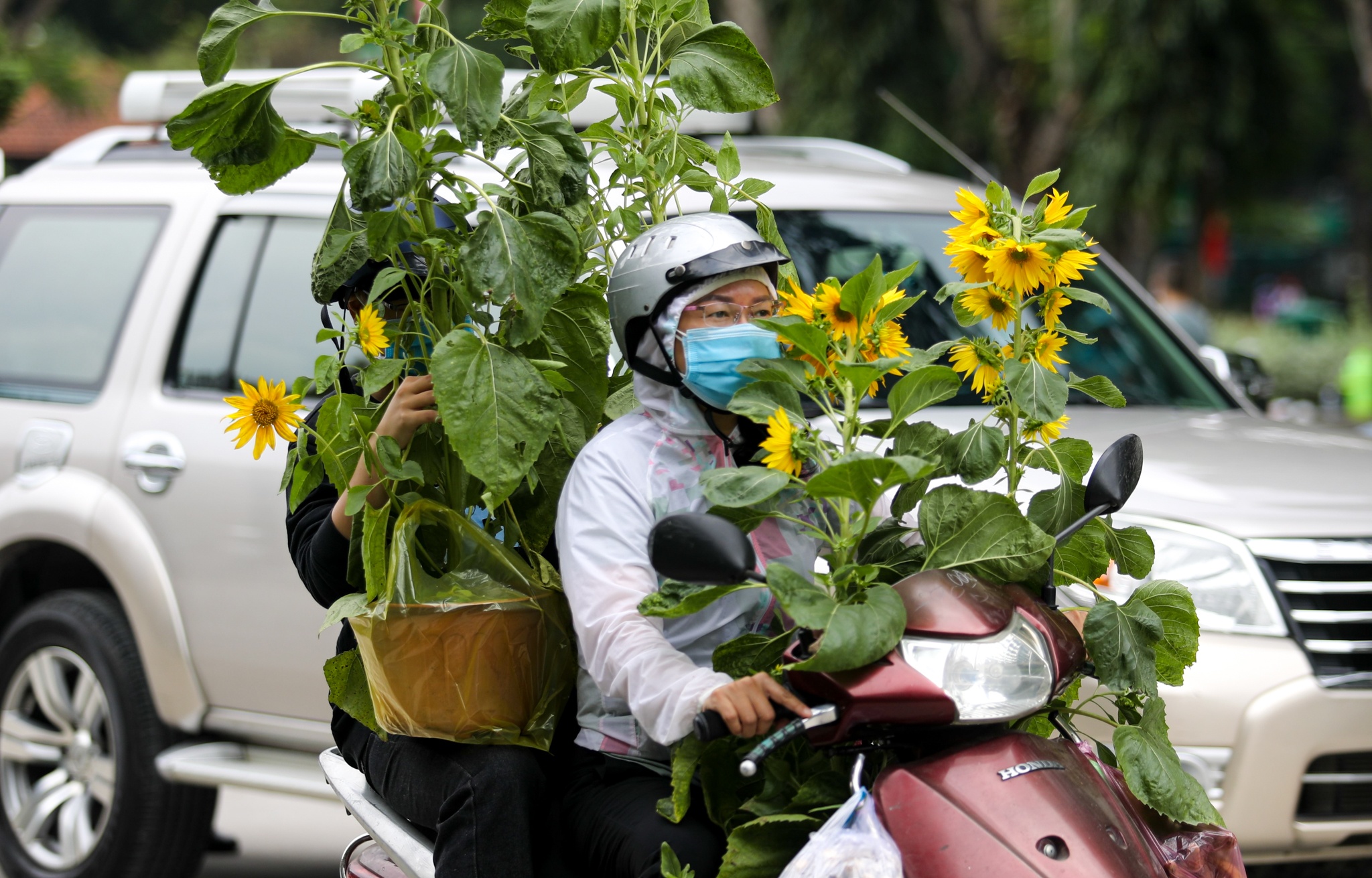 Nguoi dan chen chuc mua hoa 30 Tet anh 4