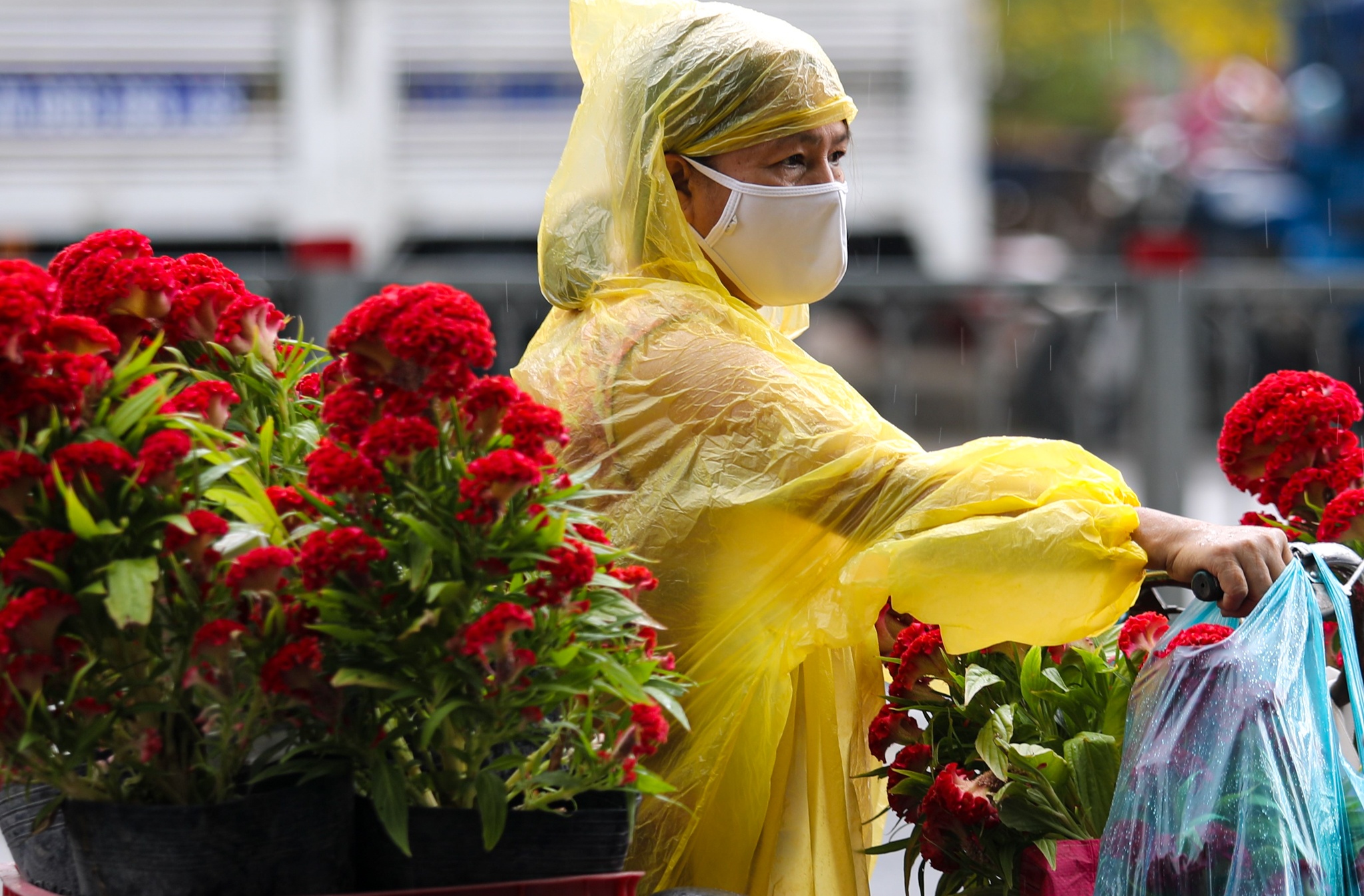 Doi mua mua hoa ha gia ngay 30 Tet o TP.HCM hinh anh