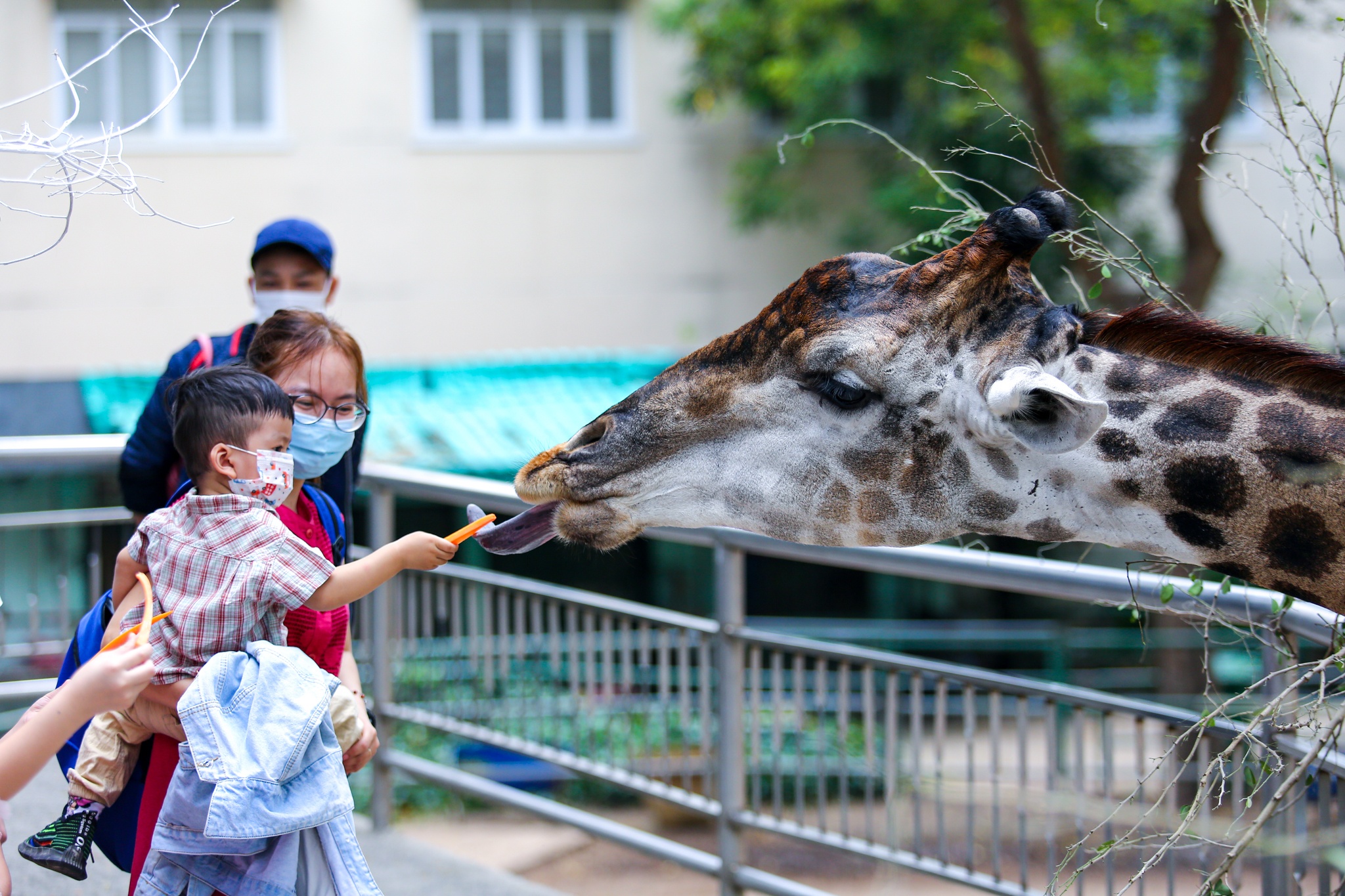 Thao Cam Vien vang hoe ngay mung mot Tet hinh anh