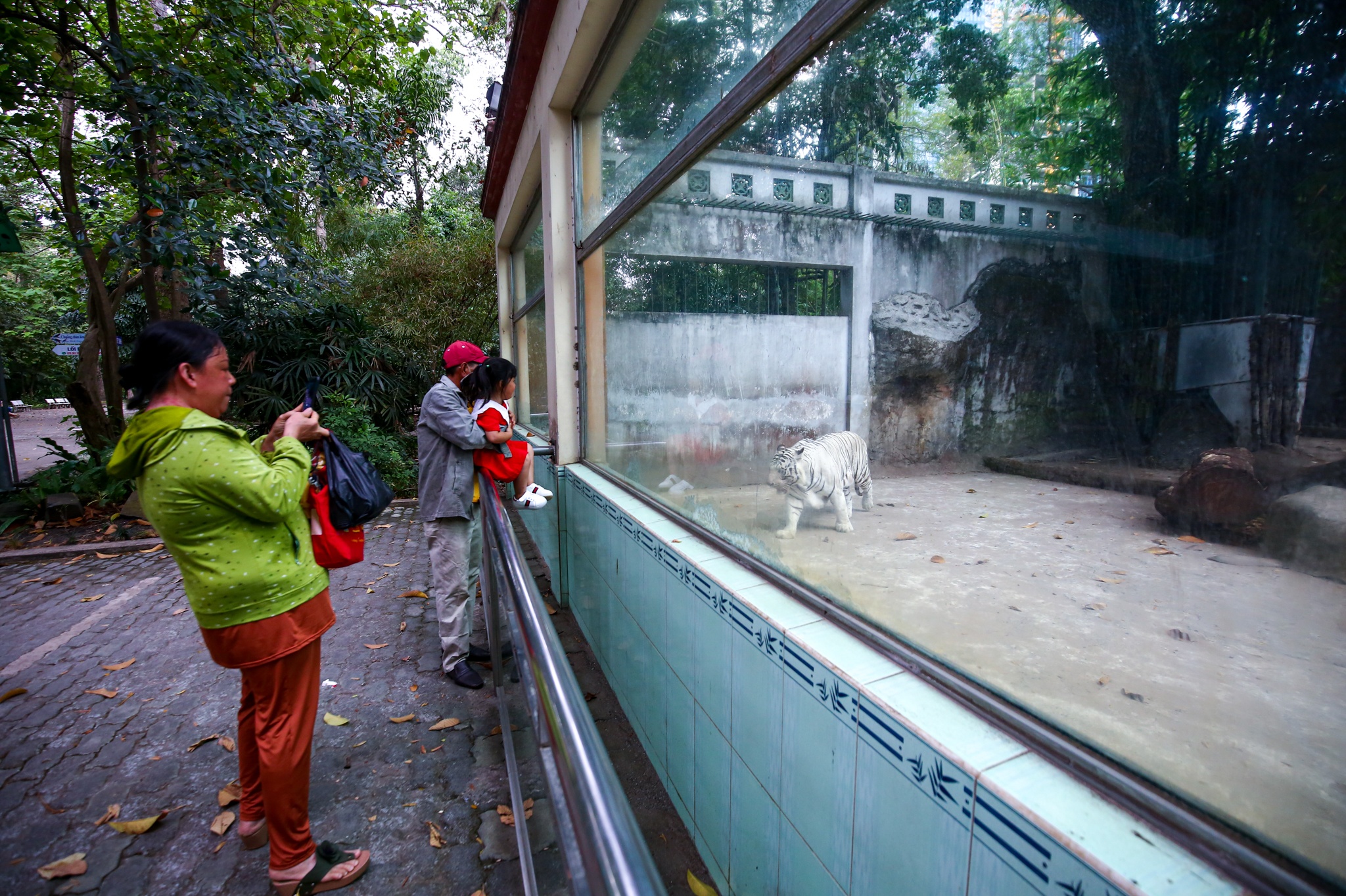 Thao Cam Vien vang ve ngay Tet anh 9