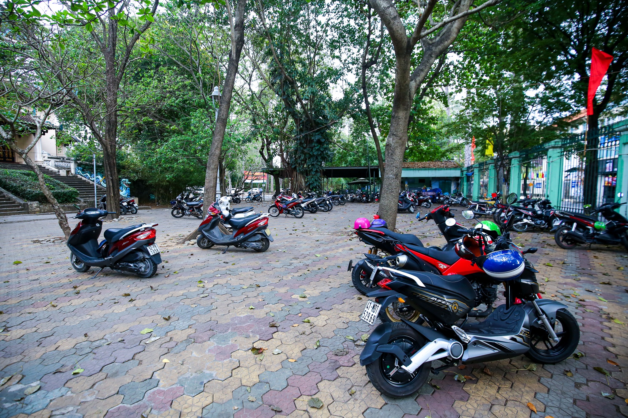 Thao Cam Vien vang ve ngay Tet anh 1